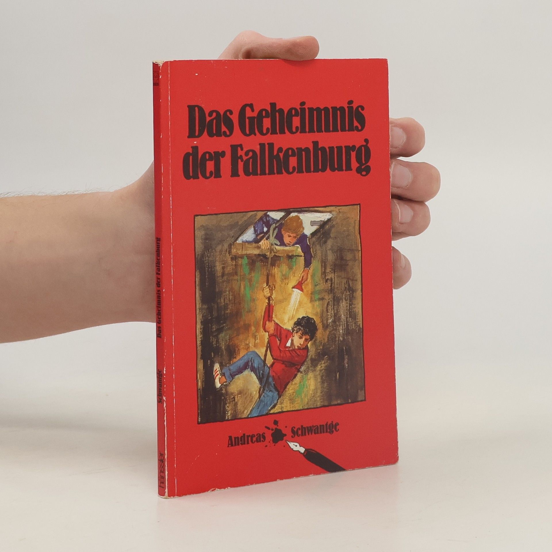 Andreas Schwantge Das Geheimnis der Falkenburg