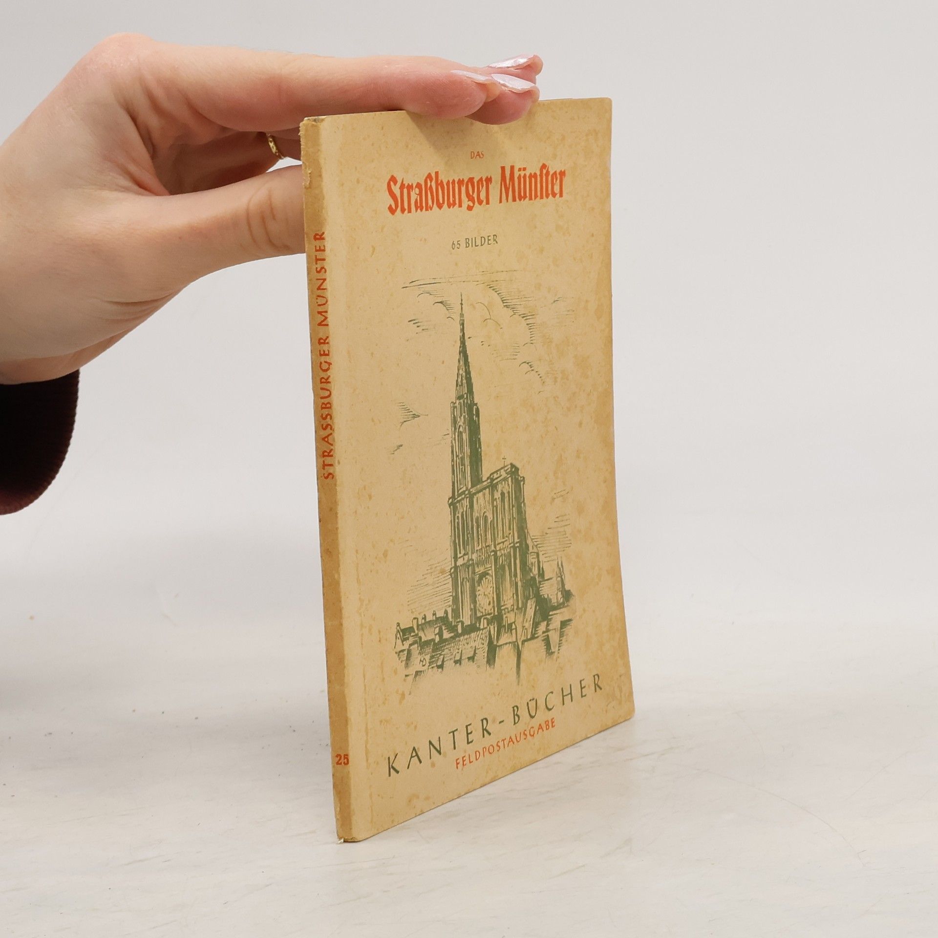 Carl von Lorck Das Straßburger Münster