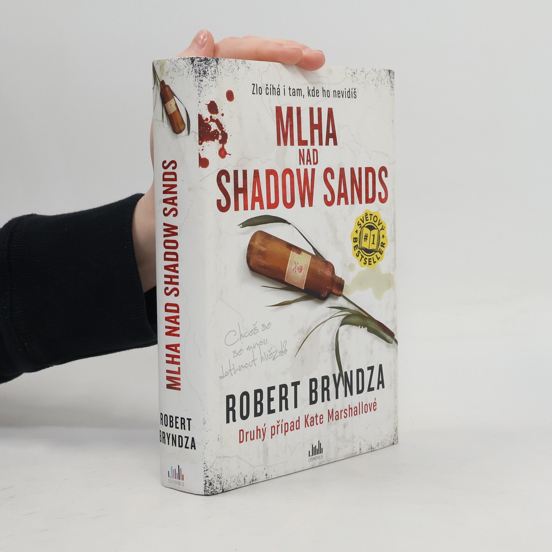 Robert Bryndza Mlha nad Shadow Sands