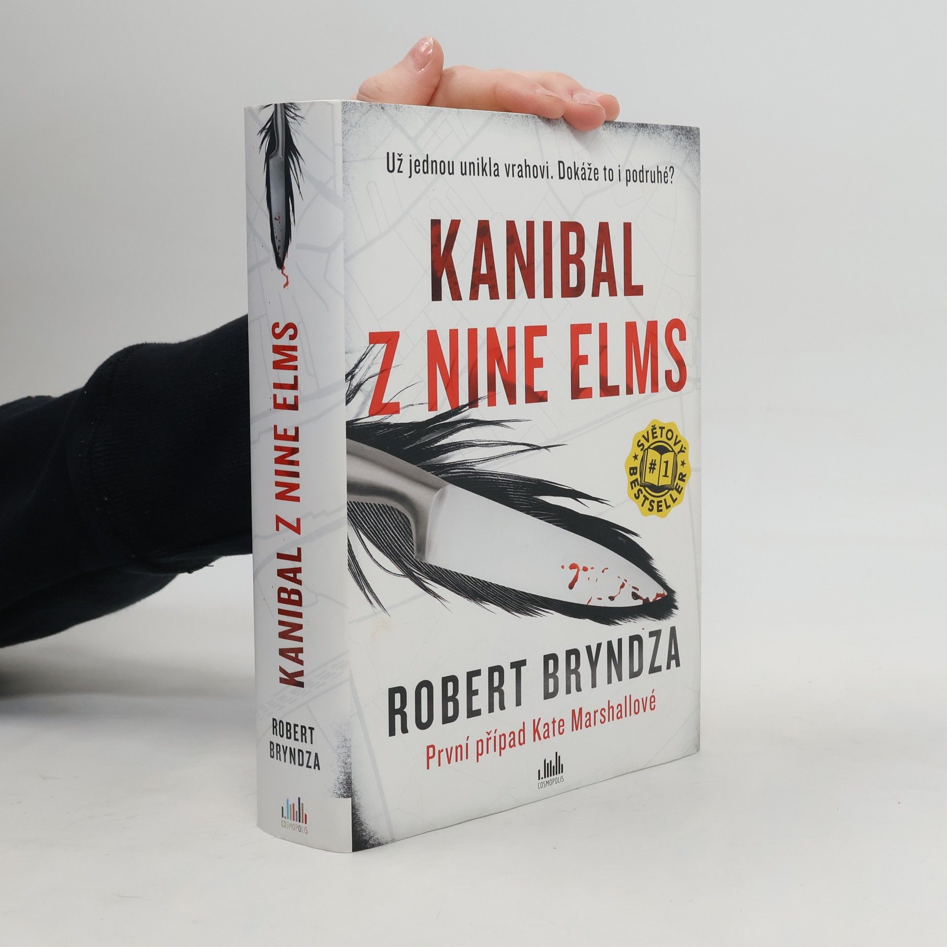 Robert Bryndza Kanibal z Nine Elms