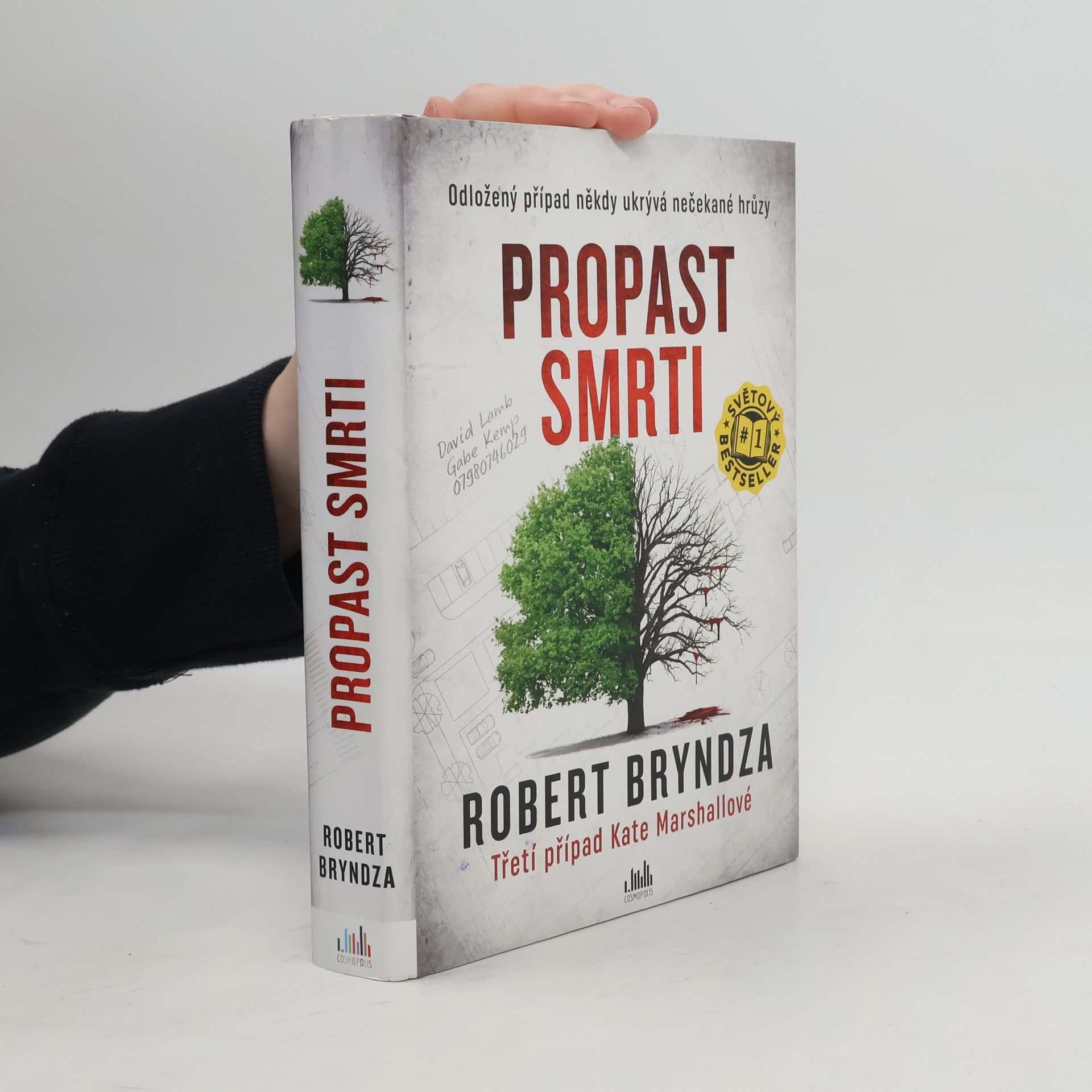Robert Bryndza Propast smrti