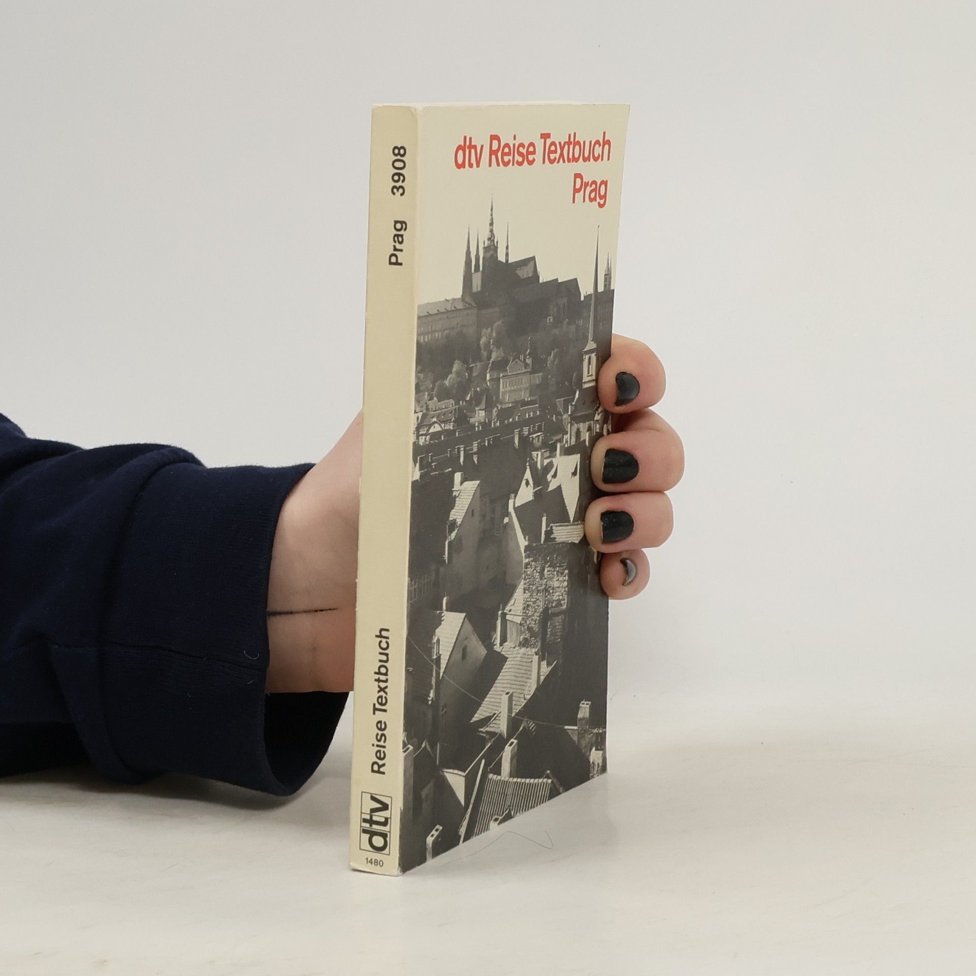Heinrich Pleticha dtv - Reise - Textbuch Prag