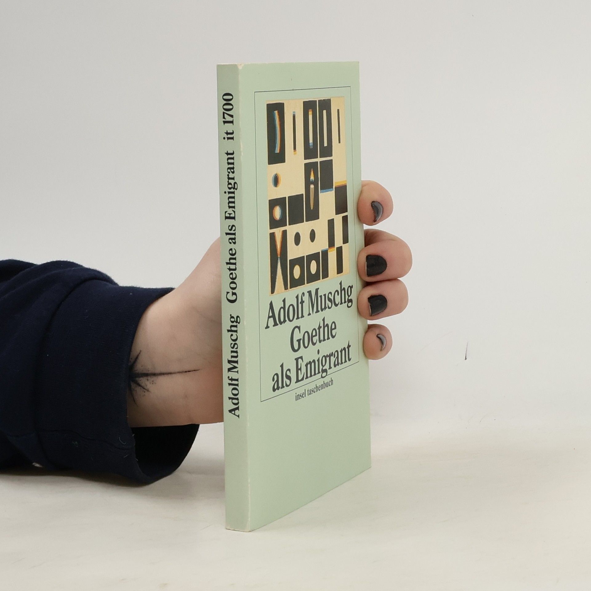 Adolf Muschg Insel Taschenbuch - 1700: Goethe als Emigrant