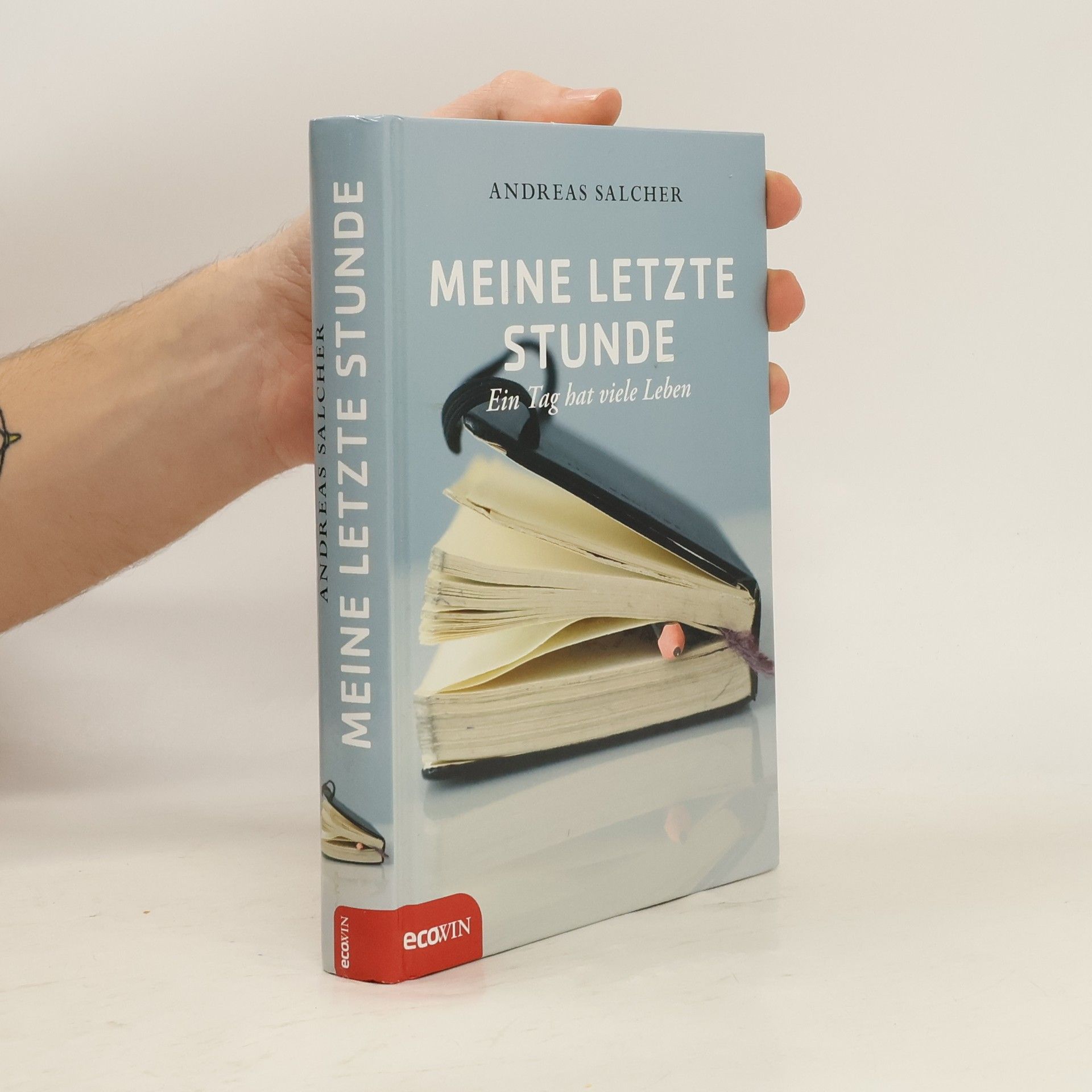 Andreas Salcher Meine letzte Stunde