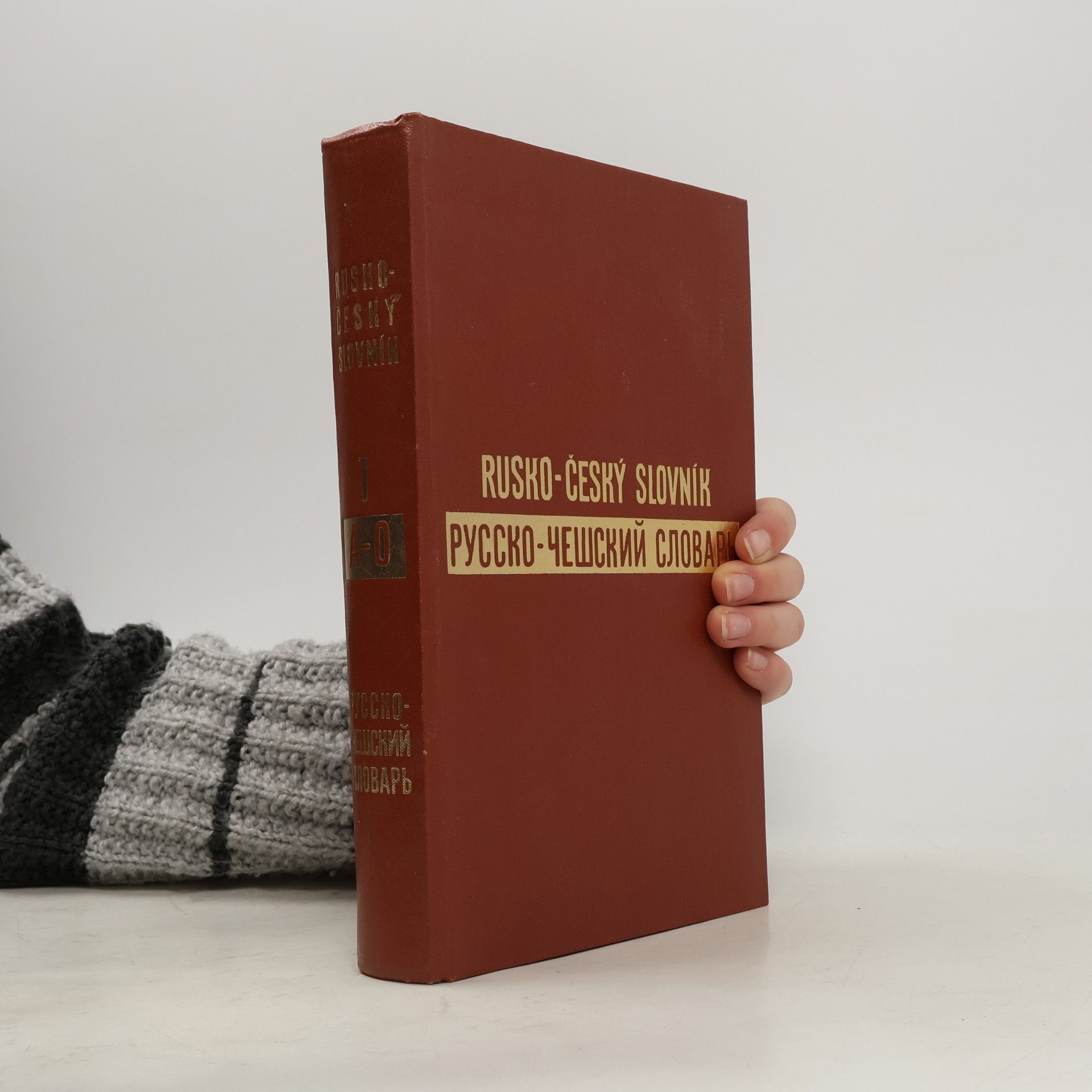 Autorenkollektiv Rusko-český slovník. Pусско-чешский словарь 1 A-O