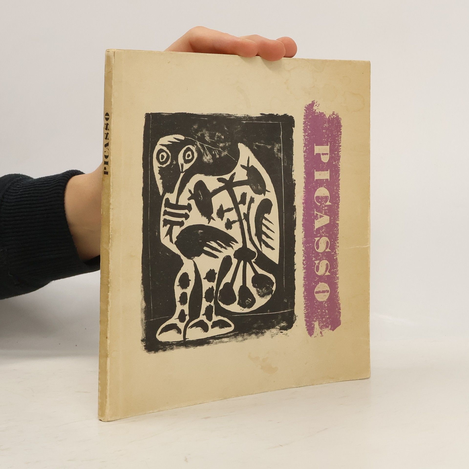 AA.VV. Pablo Picasso