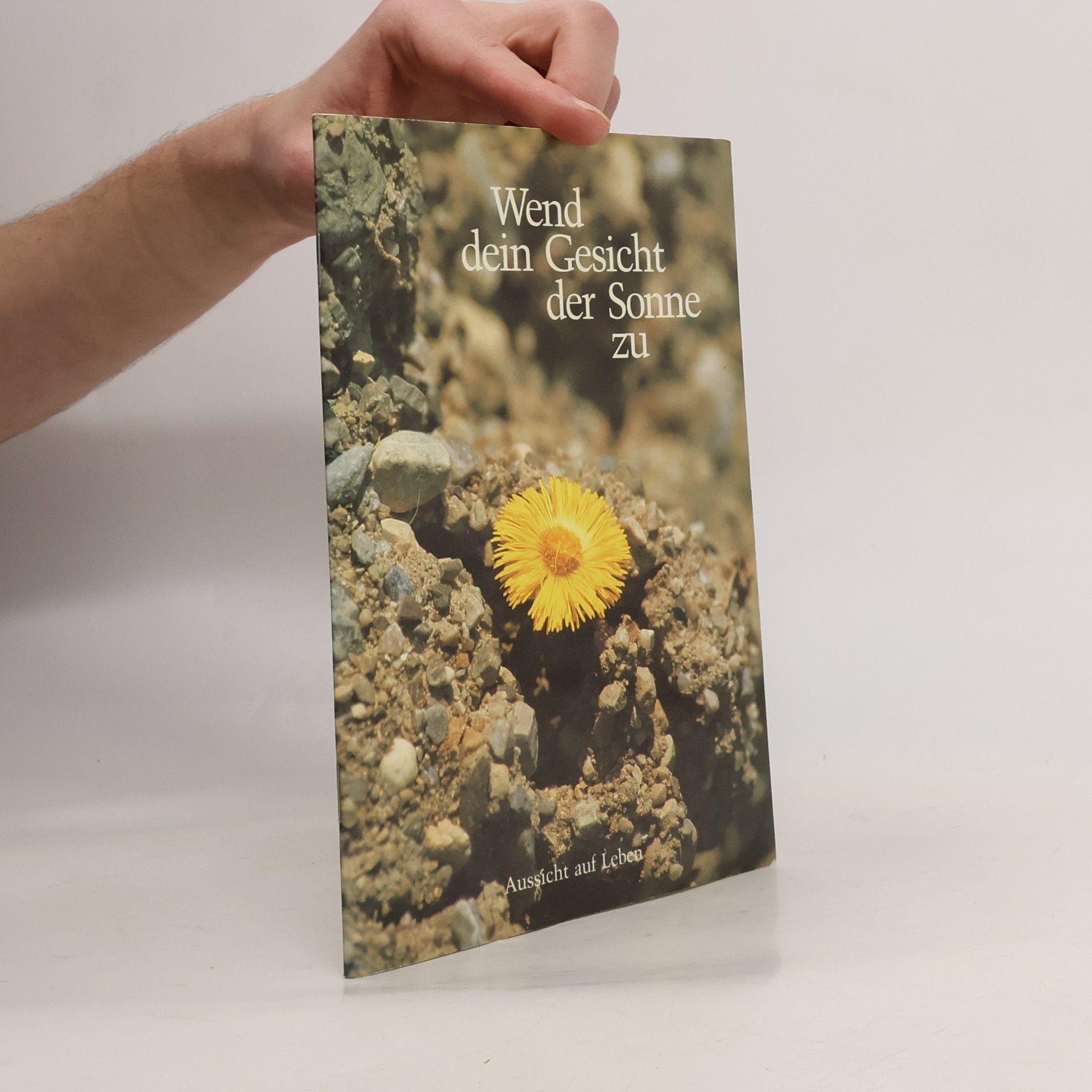 Peter Klever Wend dein Gesicht der Sonne zu