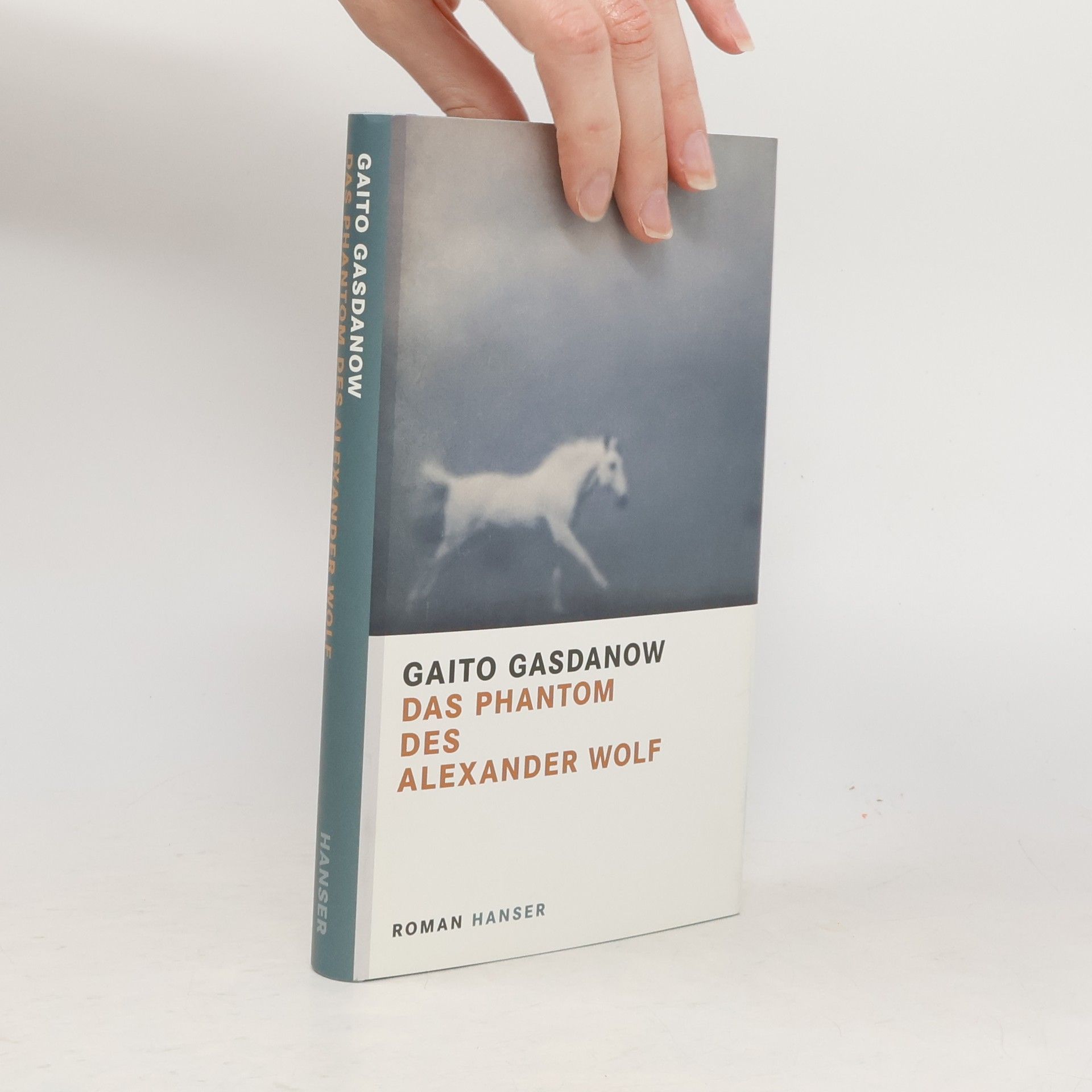 Gaito Gazdanov Das Phantom des Alexander Wolf