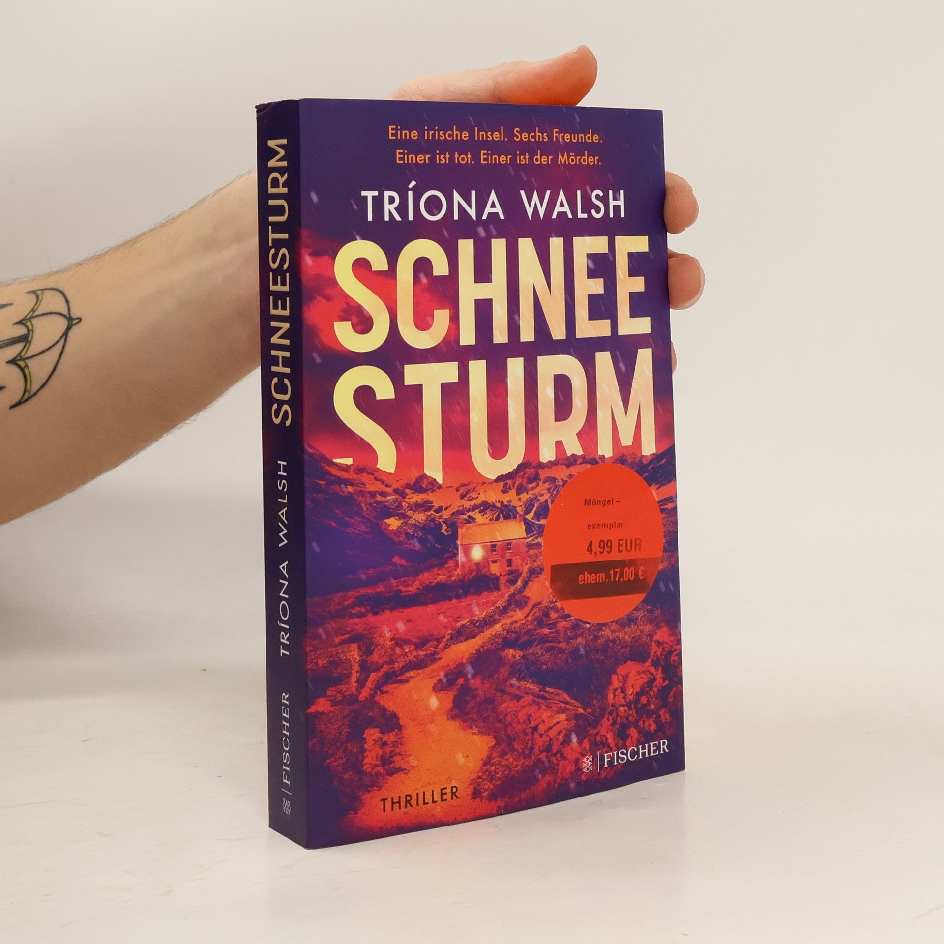 Tríona Walsh Schneesturm