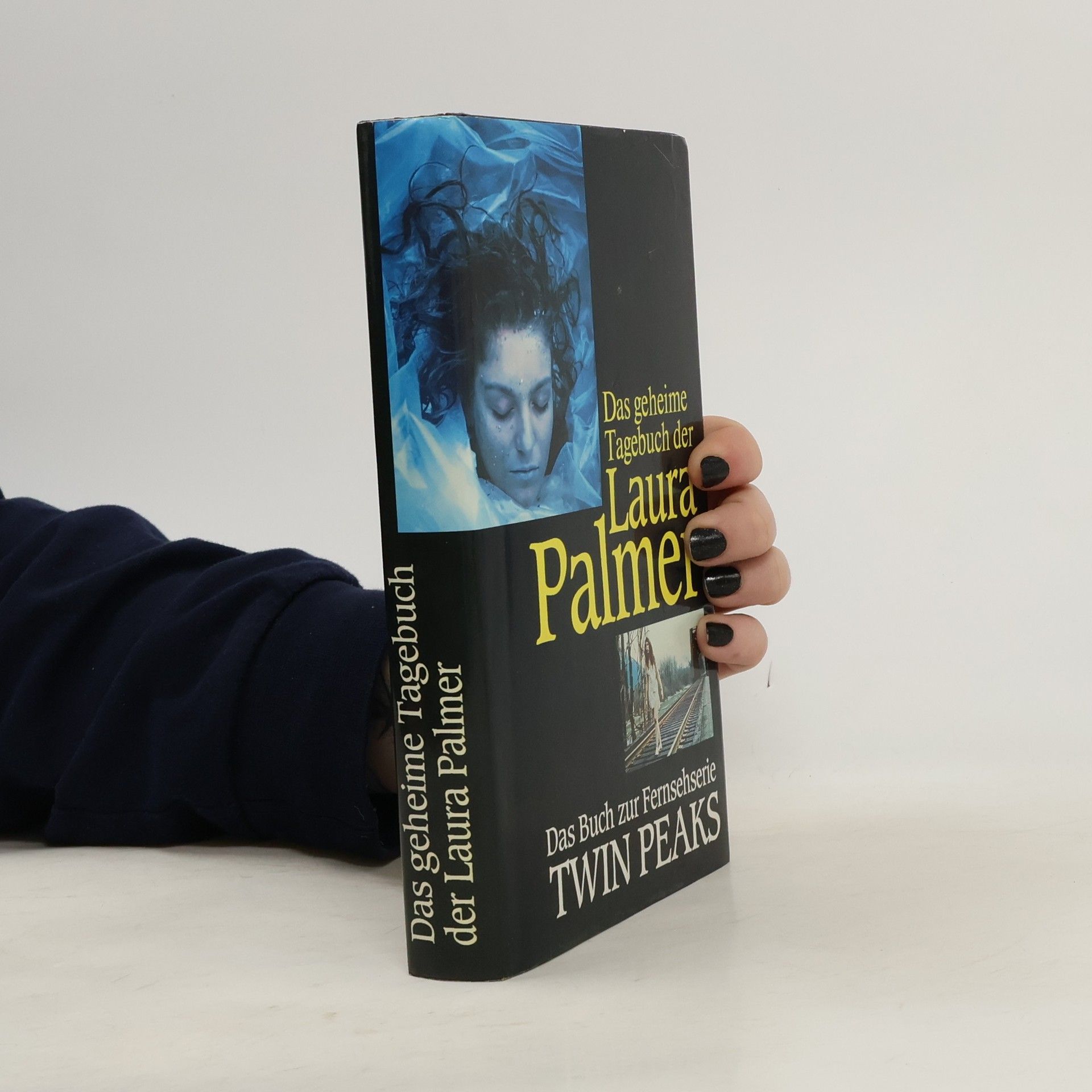 Jennifer Lynch Das geheime Tagebuch der Laura Palmer