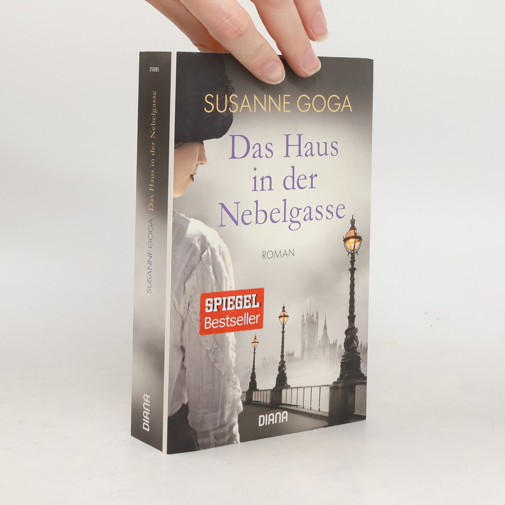 Susanne Goga Das Haus in der Nebelgasse