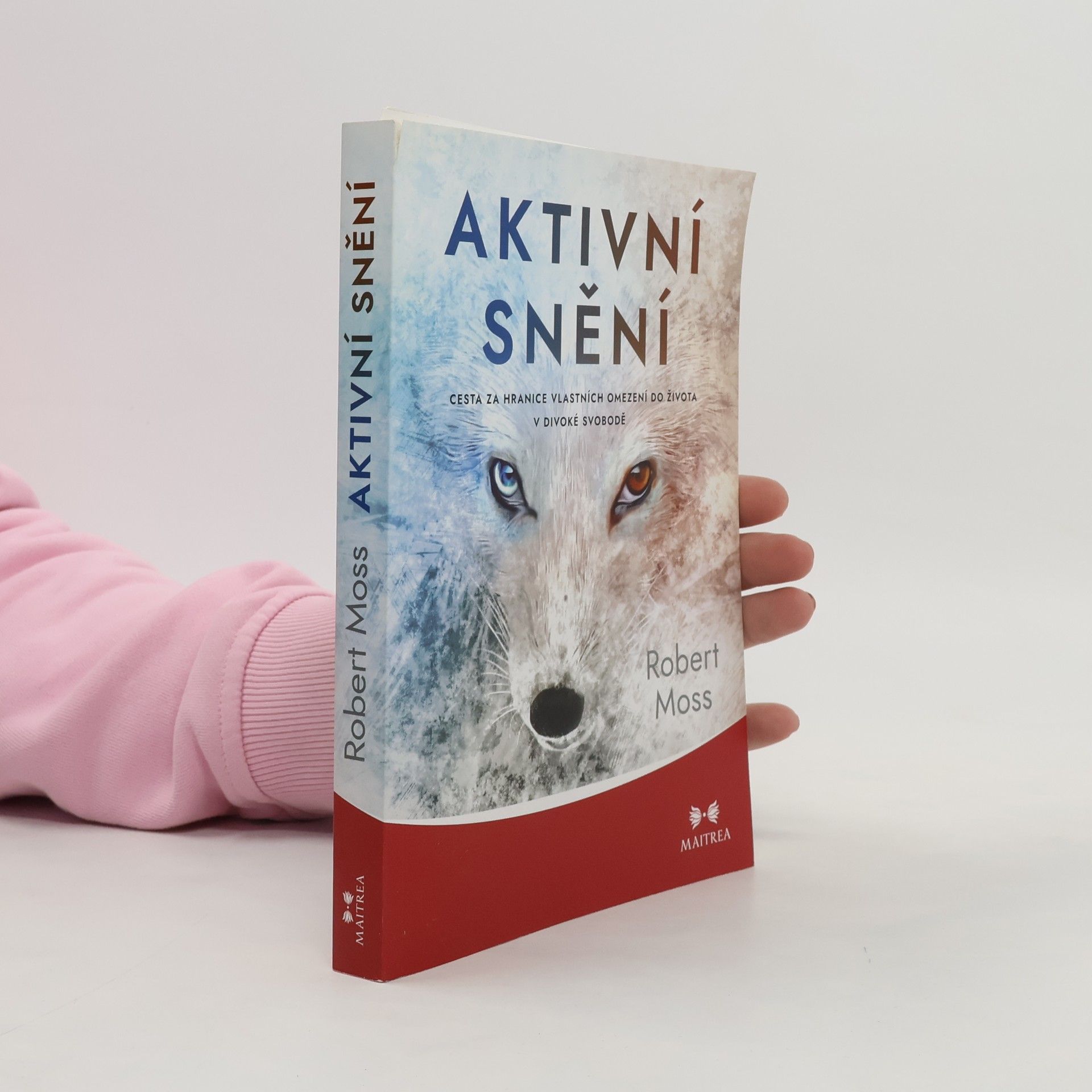 Robert Moss Aktivní snění