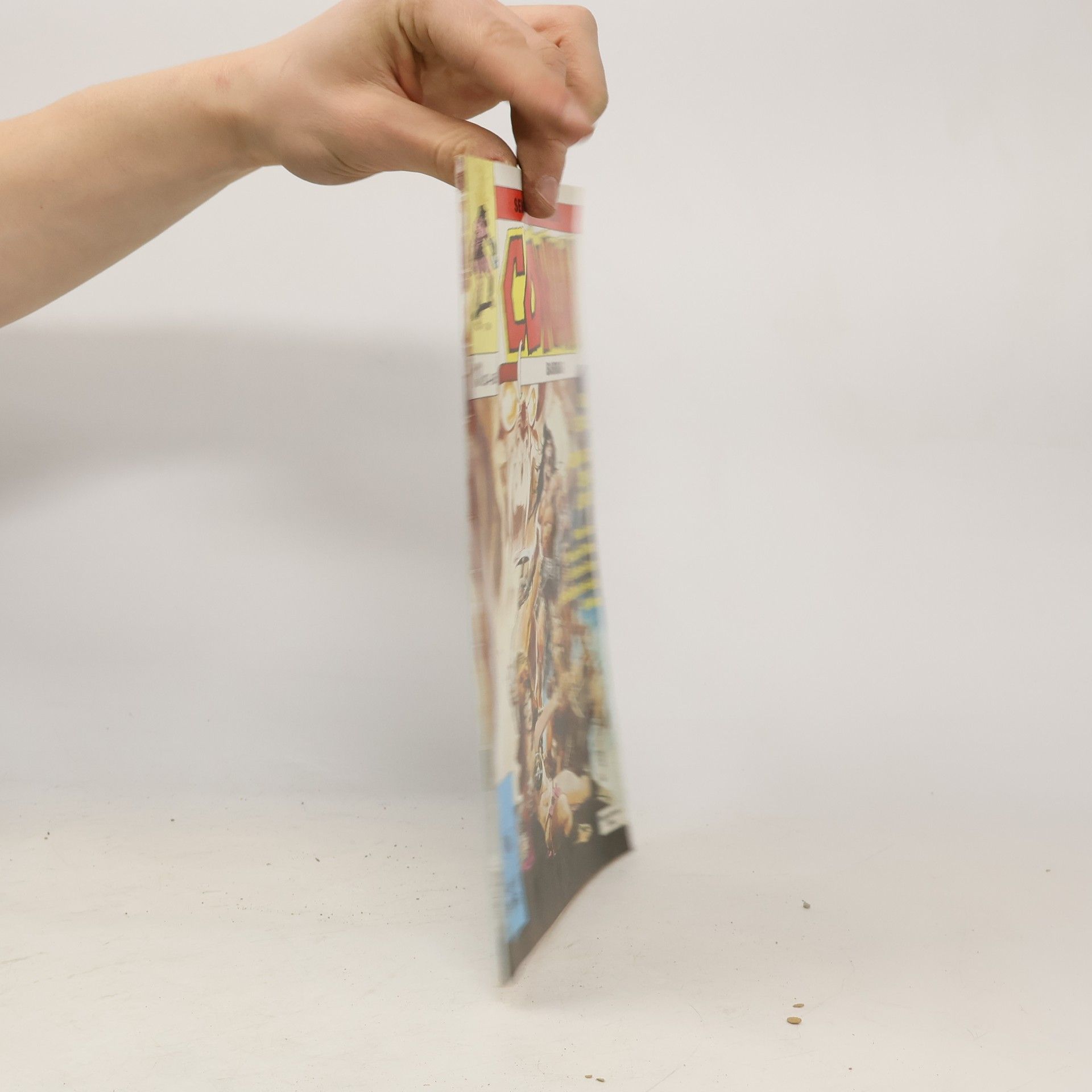 Roy Thomas Conan Barbar 13