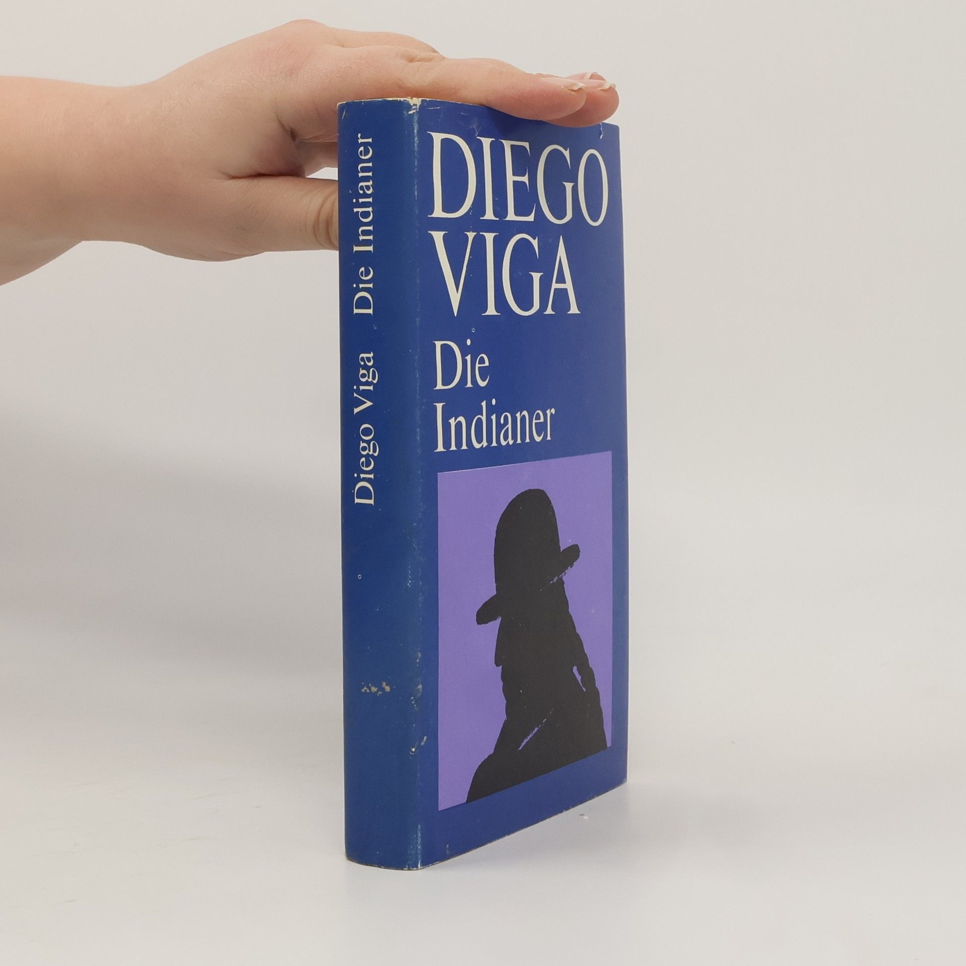 Diego Viga Die Indianer