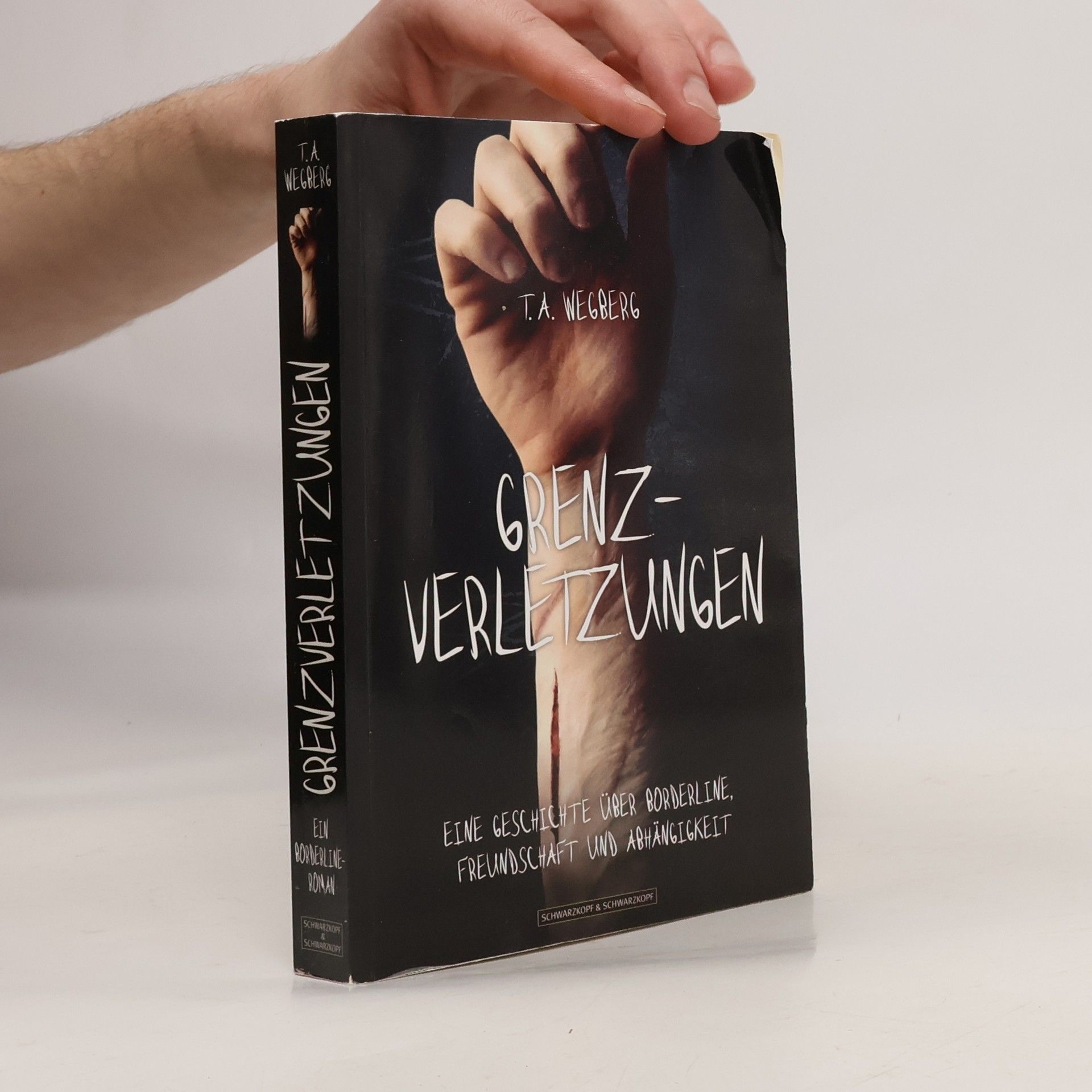 T. A. Wegberg Grenzverletzungen