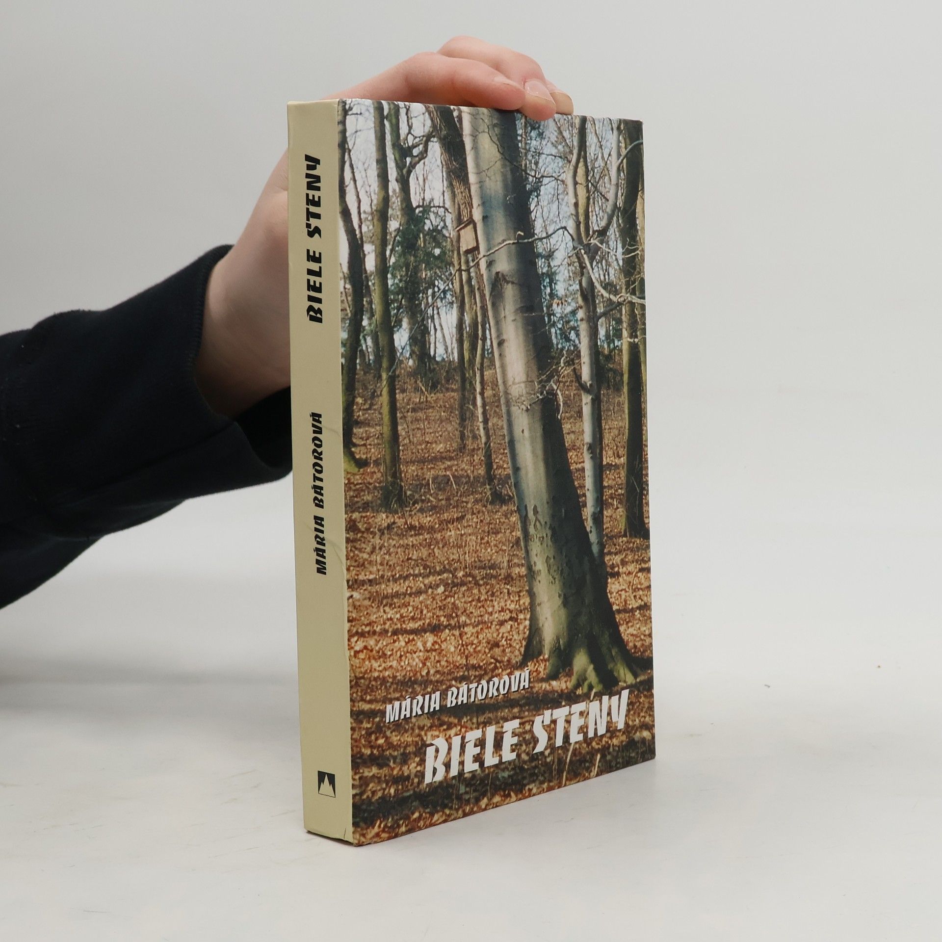 Mária Bátorová Biele steny