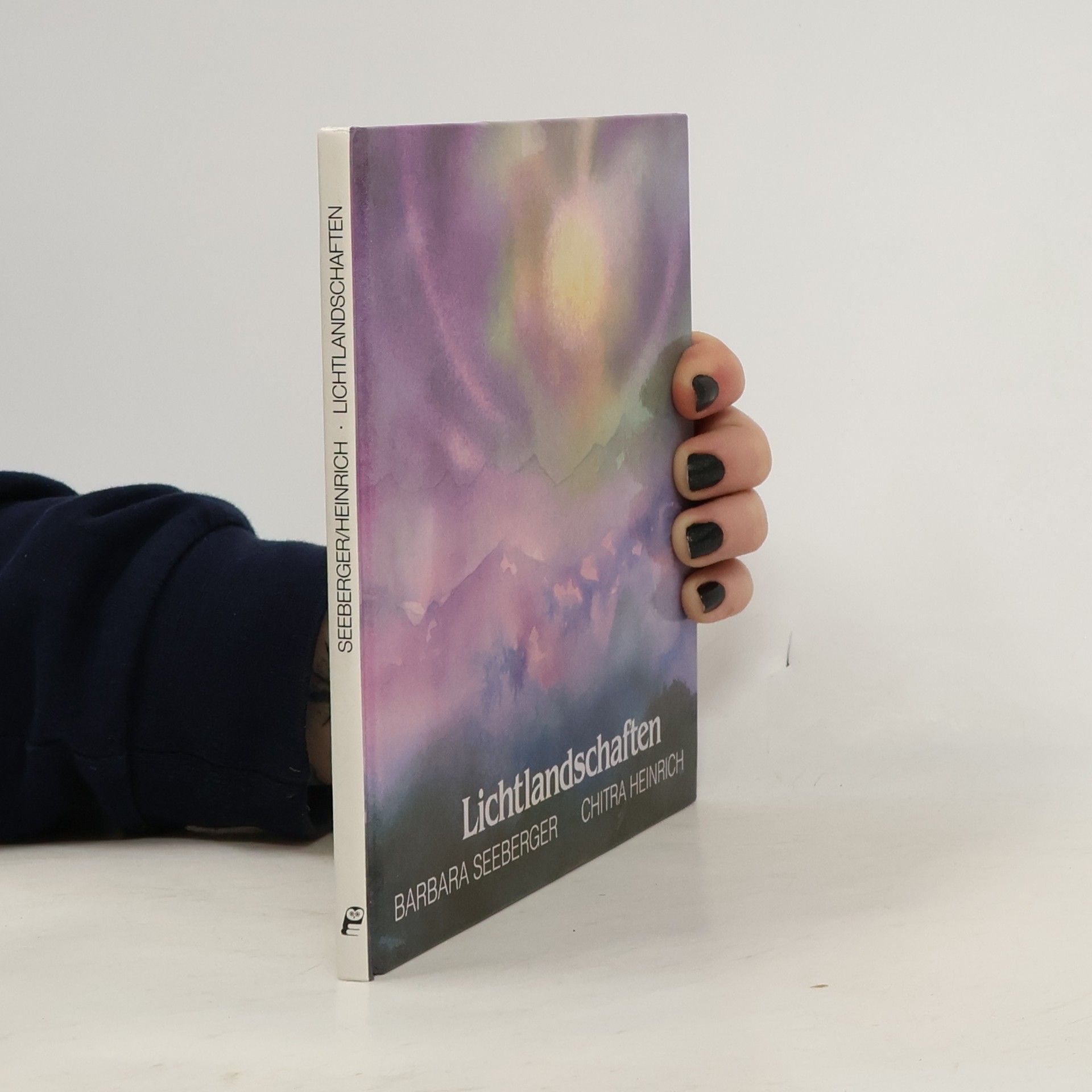 Barbara Seeberger Lichtlandschaften