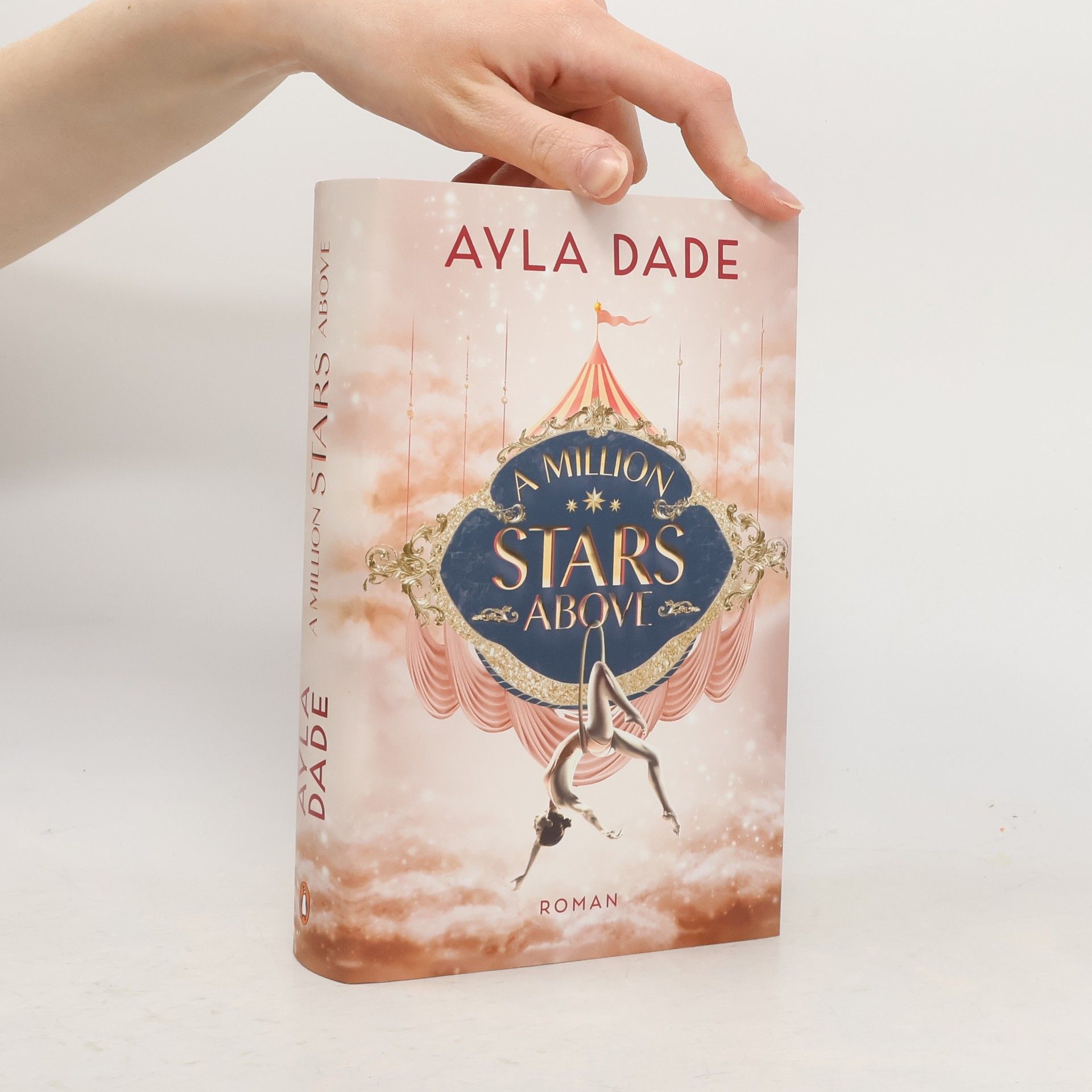 Ayla Dade A Million Stars Above