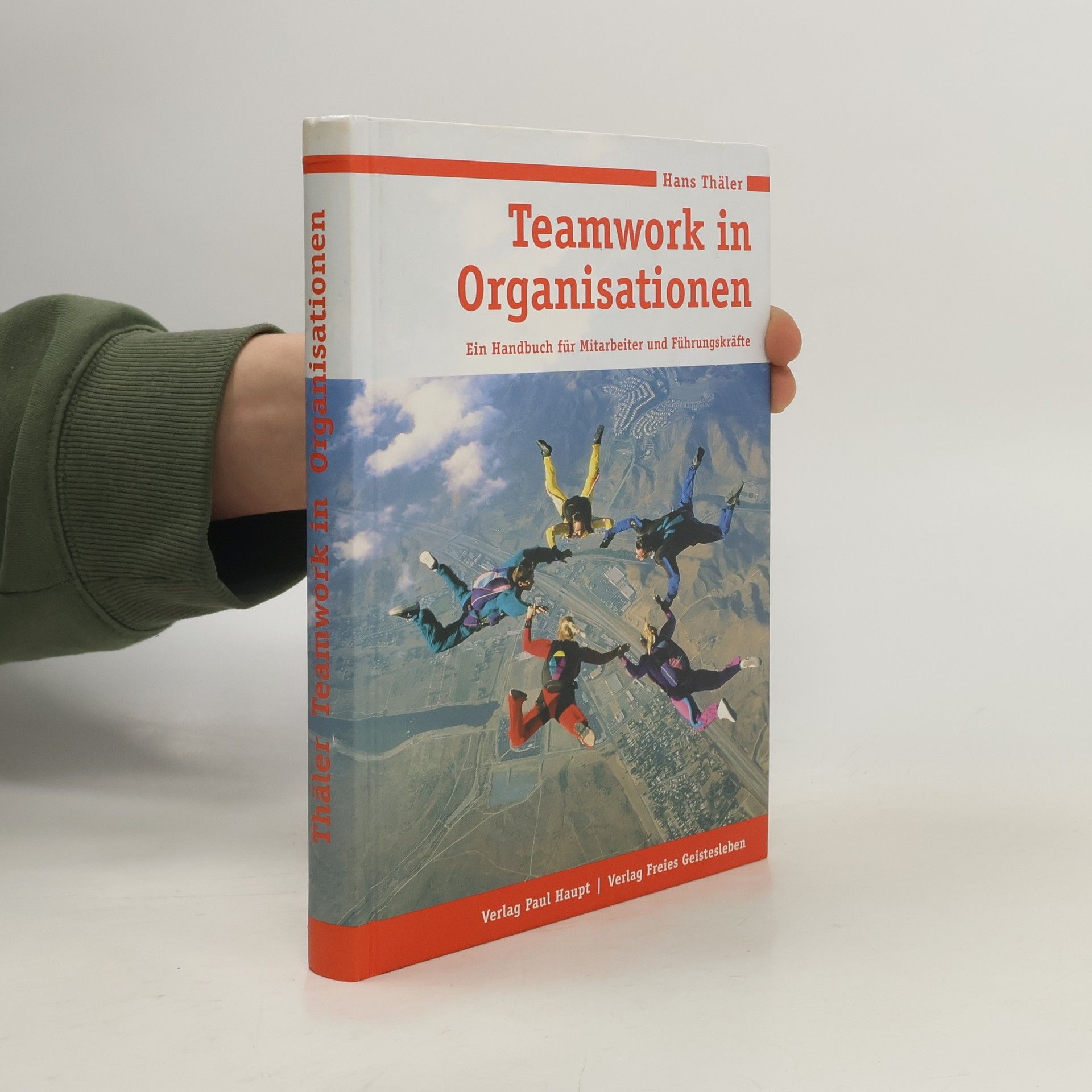 Teamwork in Organisationen