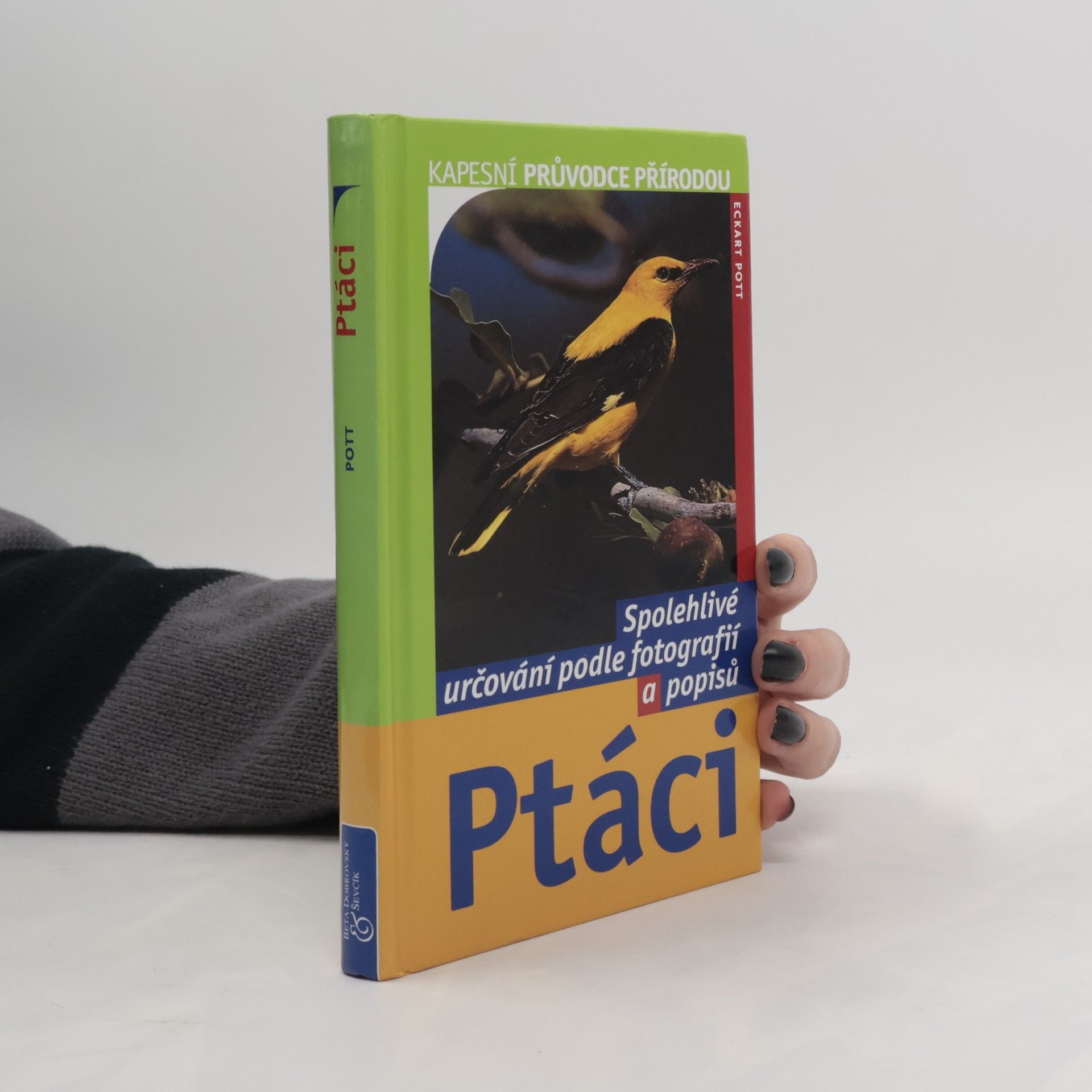 Eckart Pott Ptáci: Spolehlivé určování podle fotografií a popisů