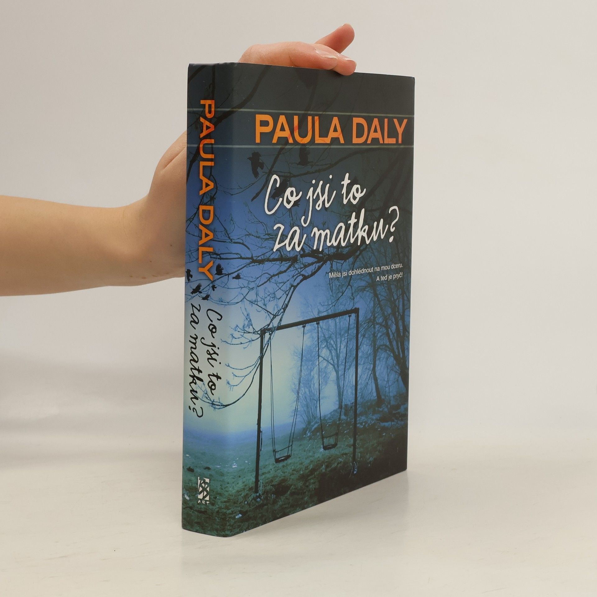 Paula Daly Co jsi to za matku?