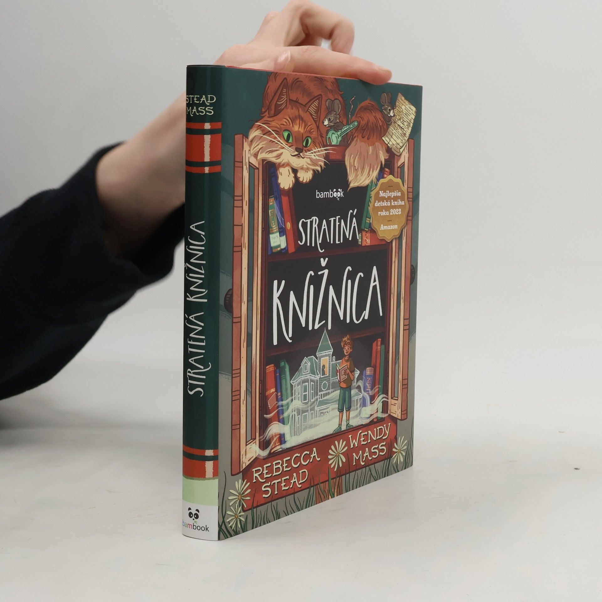 Rebecca Stead Stratená knižnica