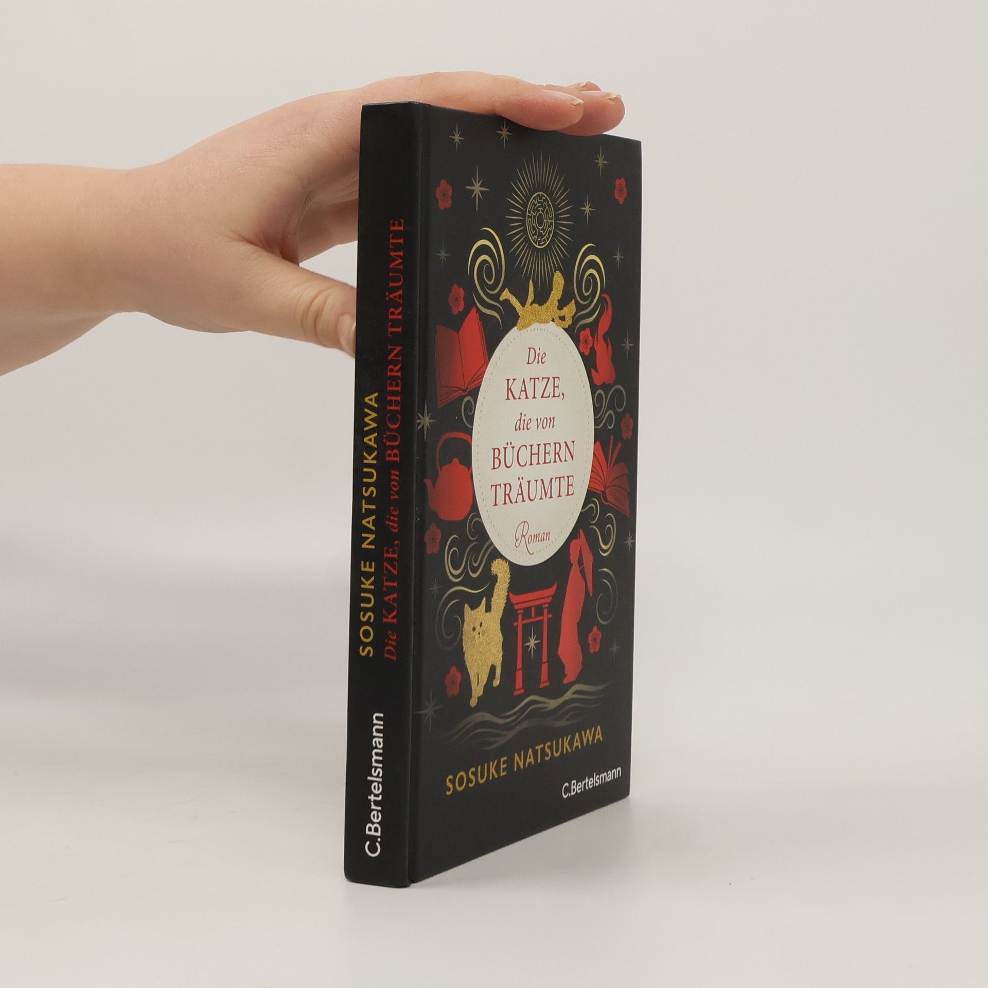 Sōsuke Natsukawa Die Katze, die von Büchern träumte