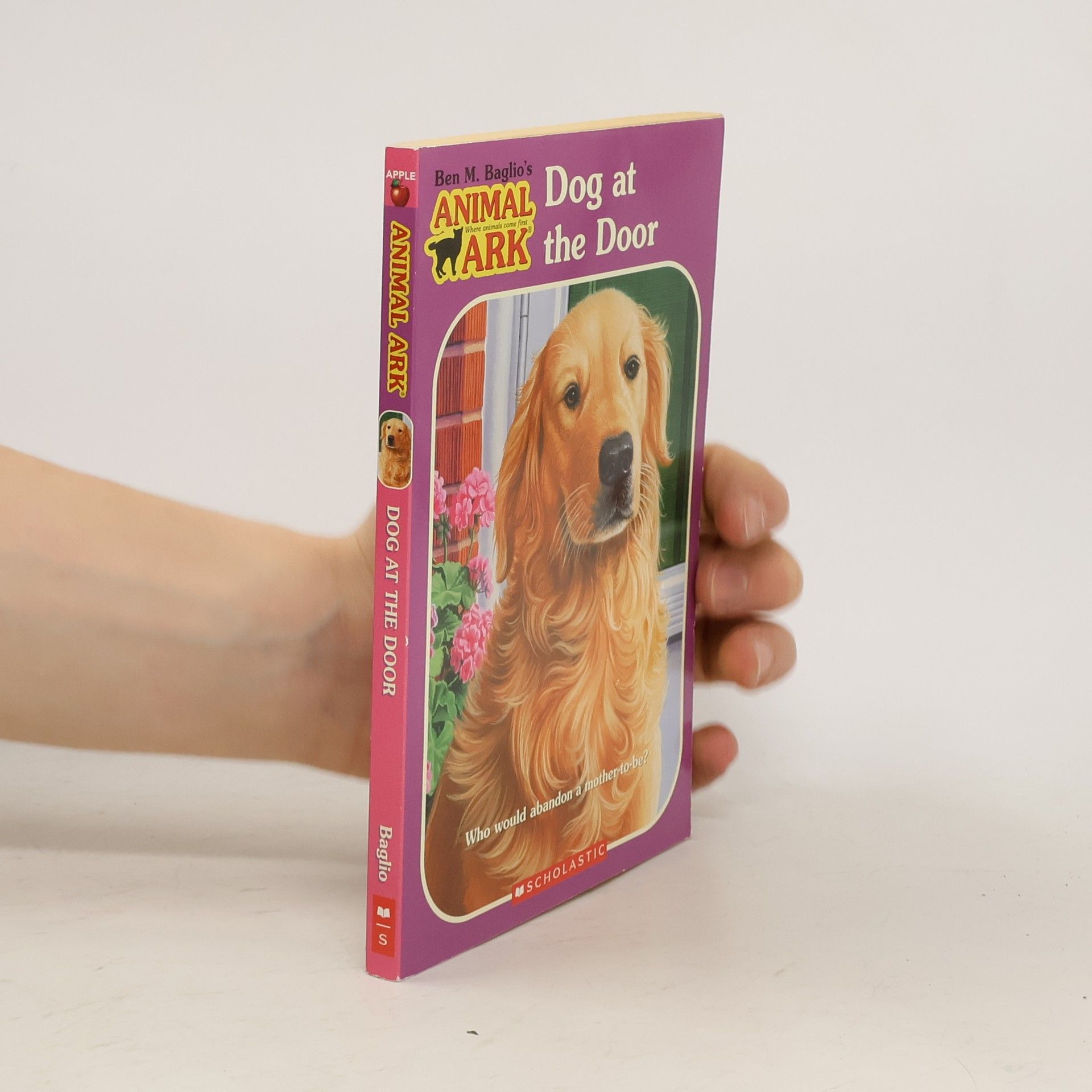 Ben Baglio Dog at the Door