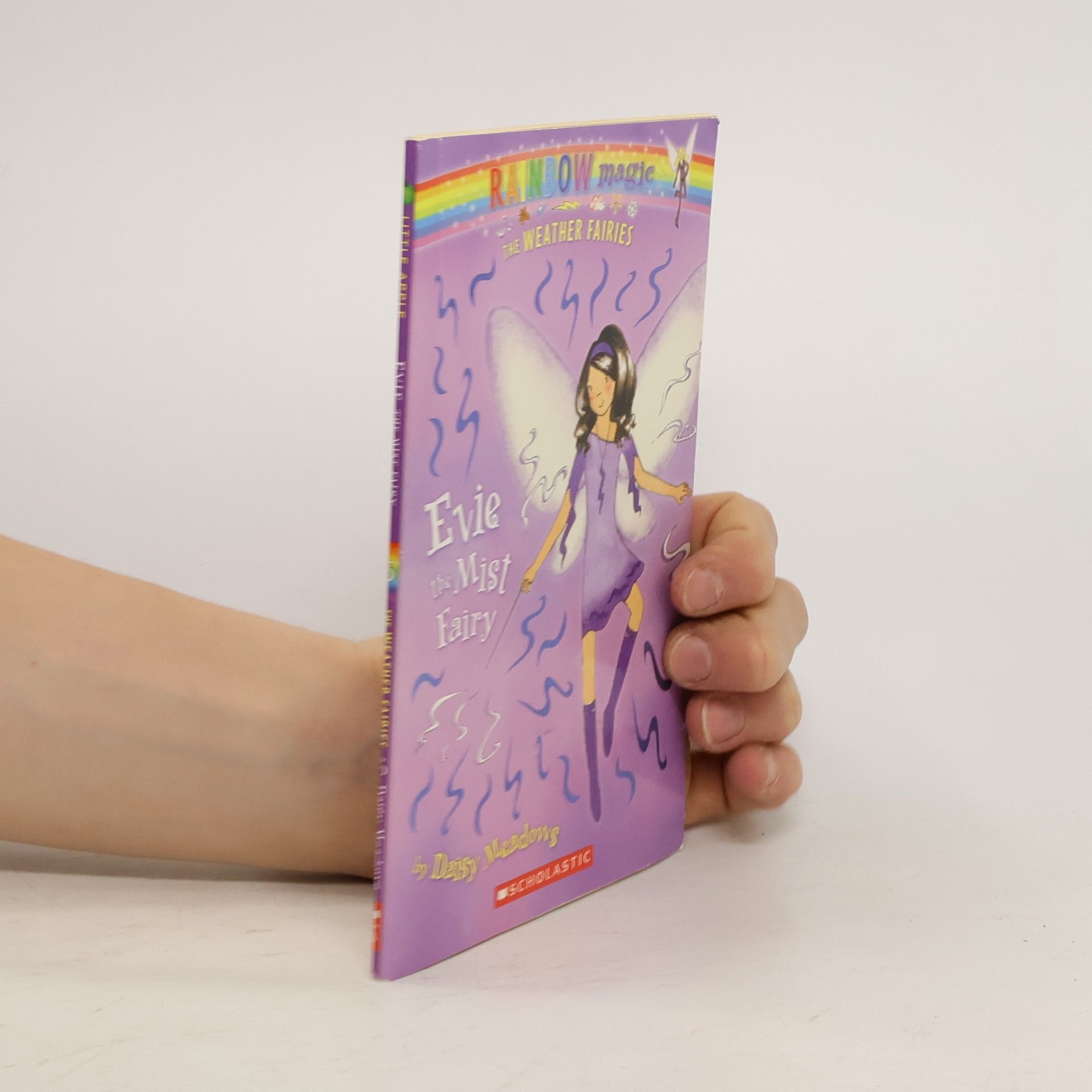 Daisy Meadows Evie, the Mist Fairy