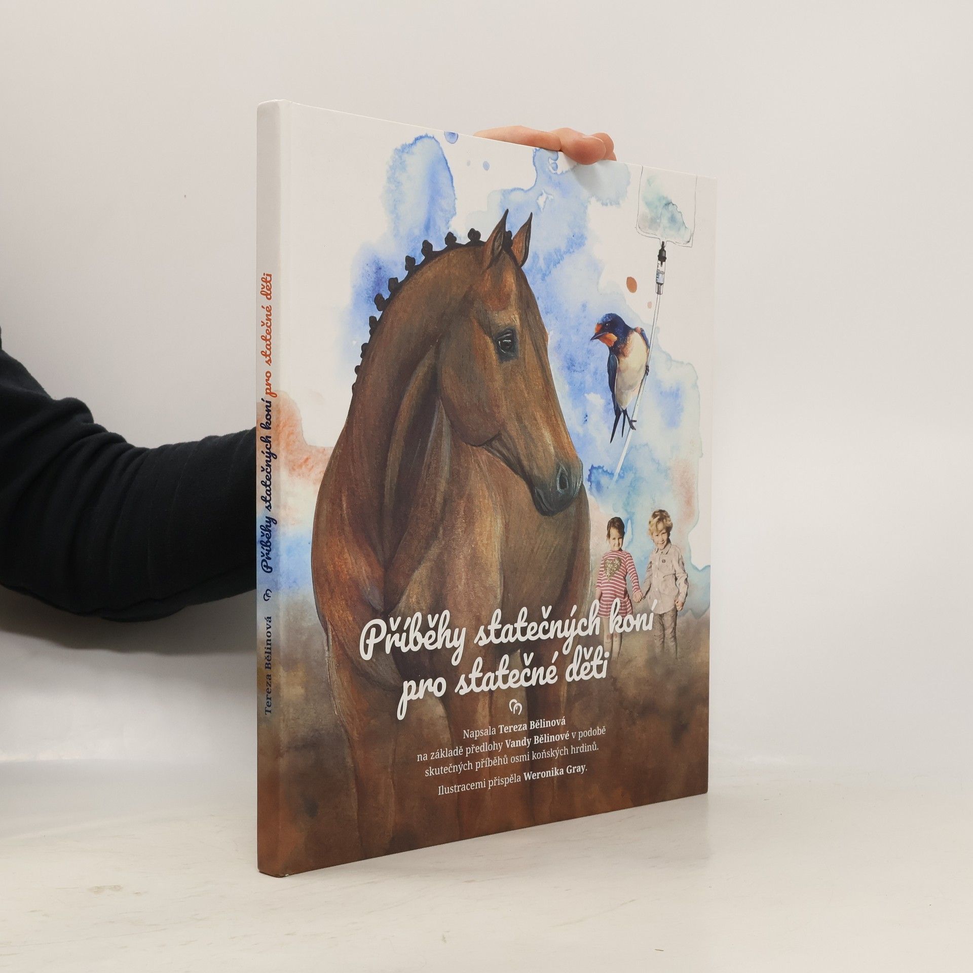 Tereza Bělinová Příběhy statečných koní pro statečné děti