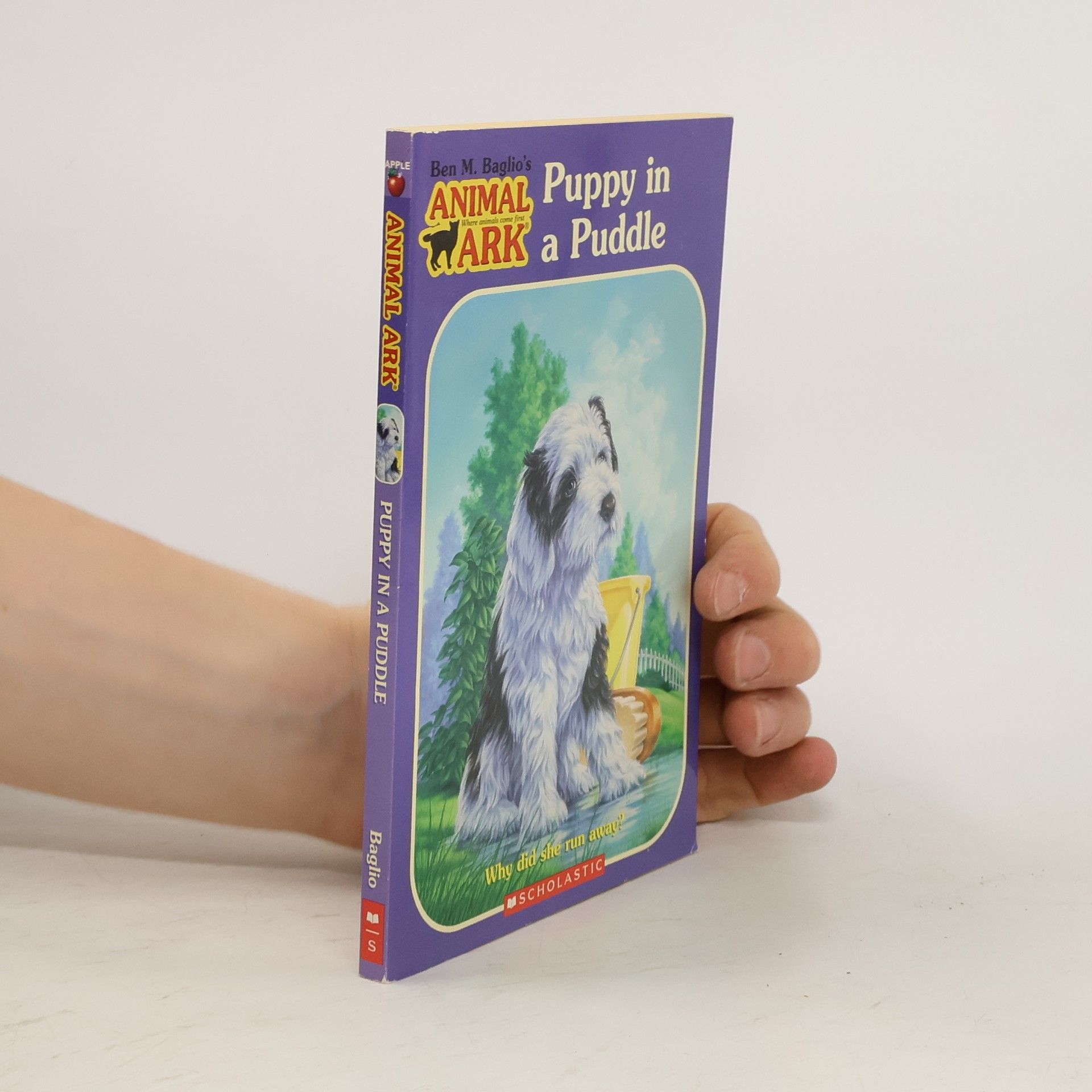 Ben Baglio Puppy in a Puddle