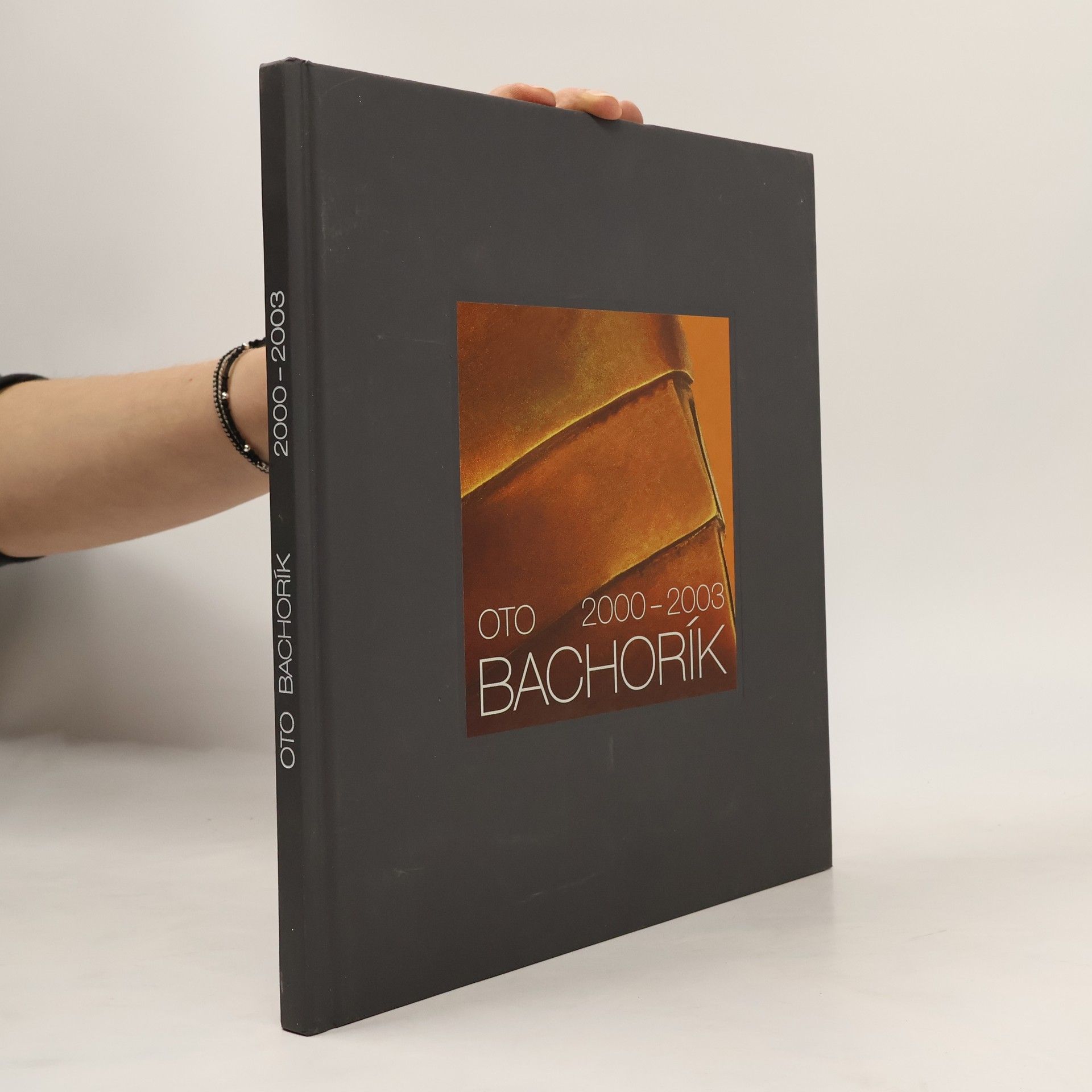 Pavel Mikuluščák Oto Bachorík 2000 - 2003