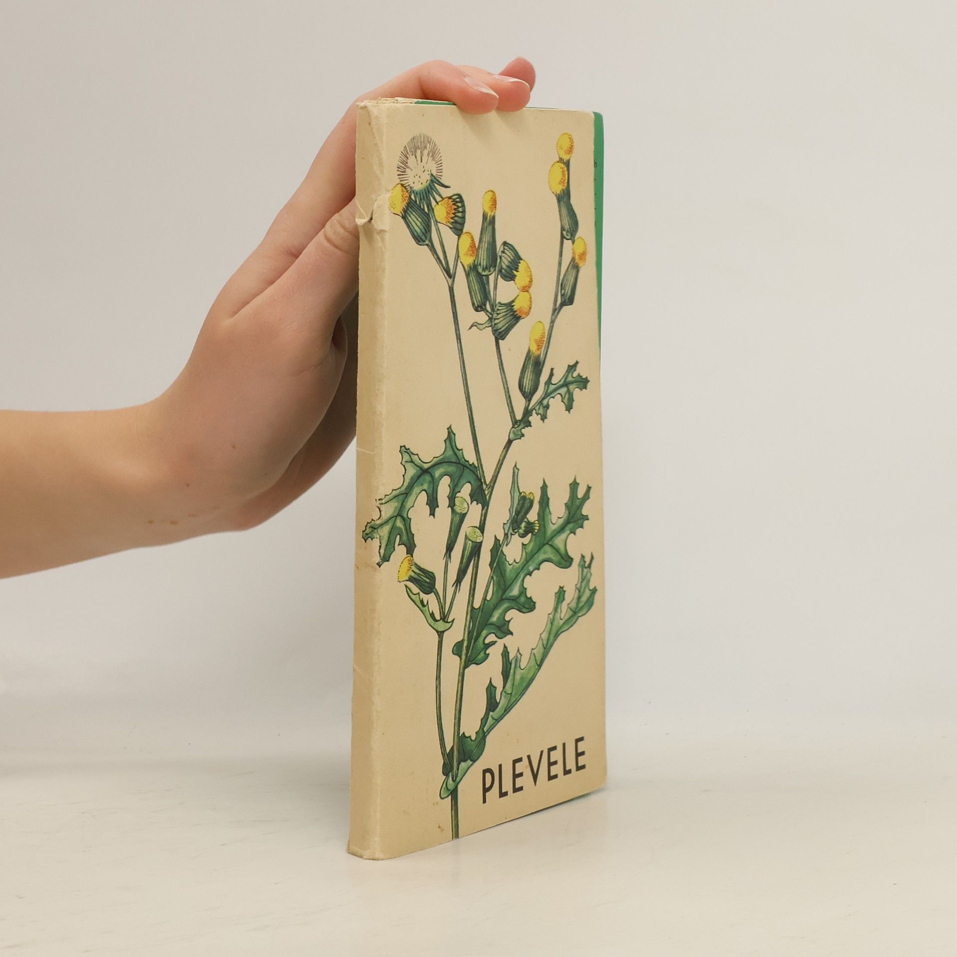 Autorenkollektiv Plevele