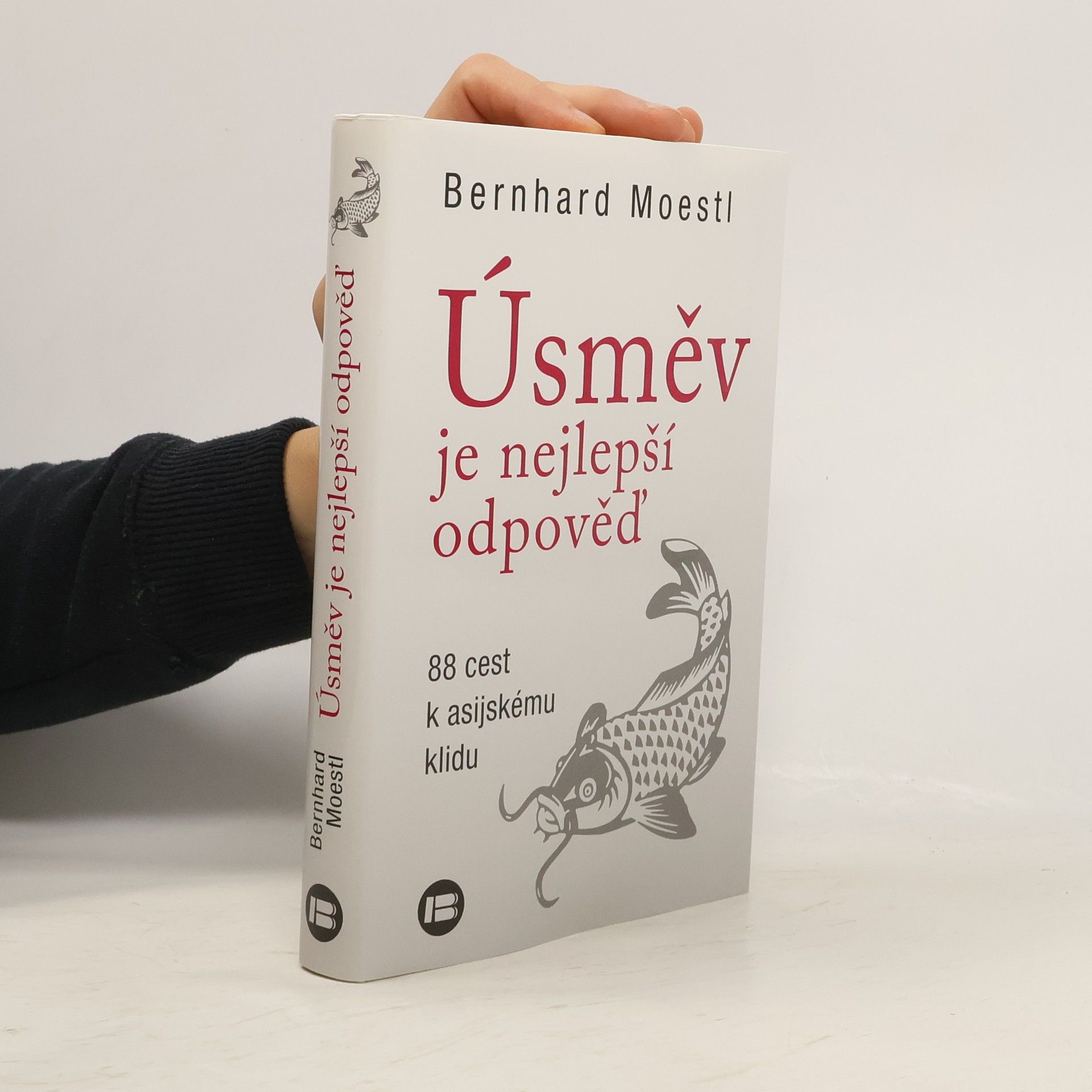 Bernhard Moestl Úsměv je nejlepší odpověď : 88 cest k asijskému klidu