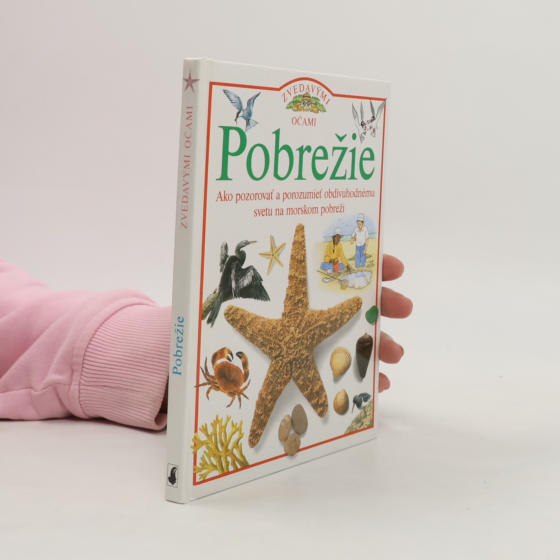 David Burnie Pobrežie