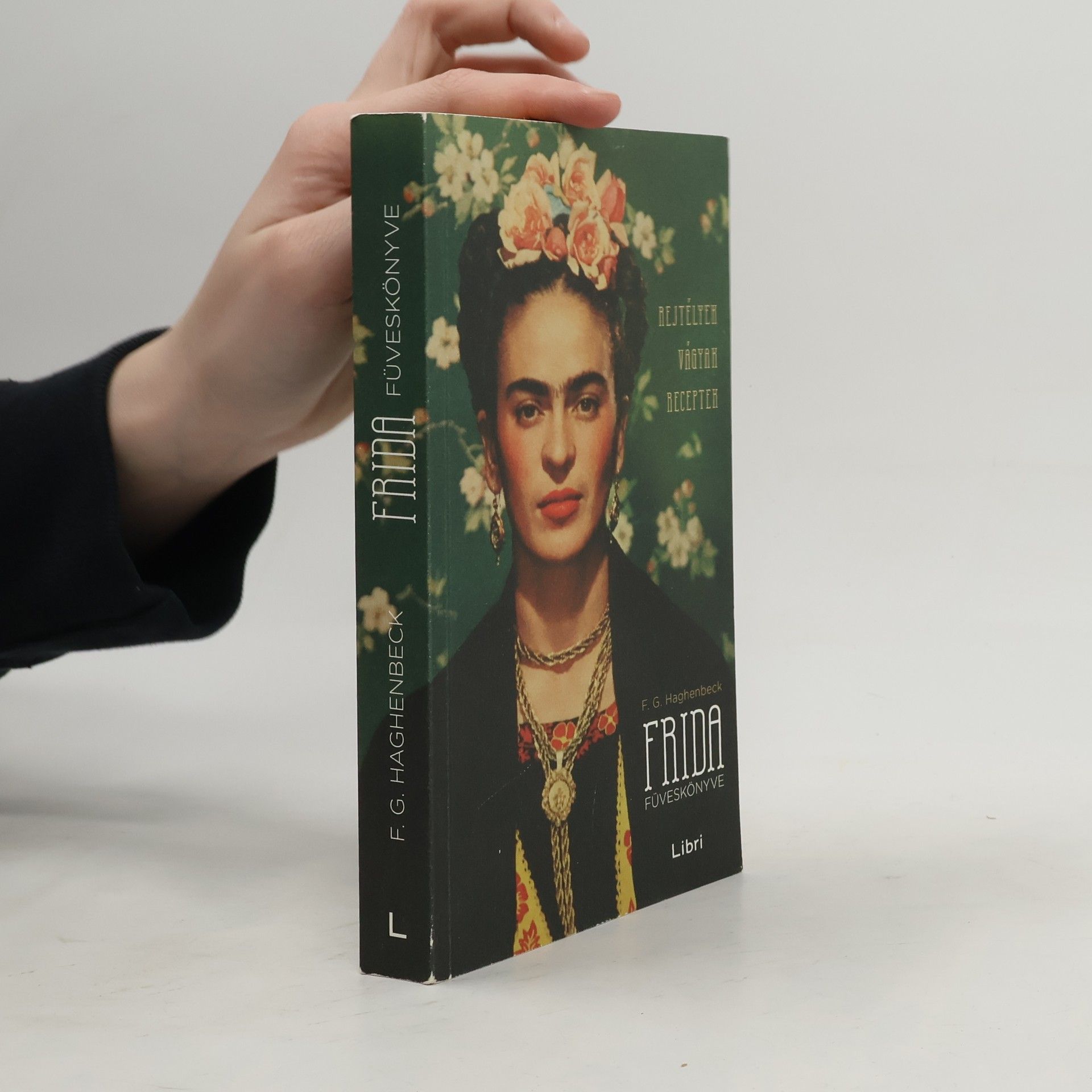 Francisco Gerardo Haghenbeck Frida füveskönyve