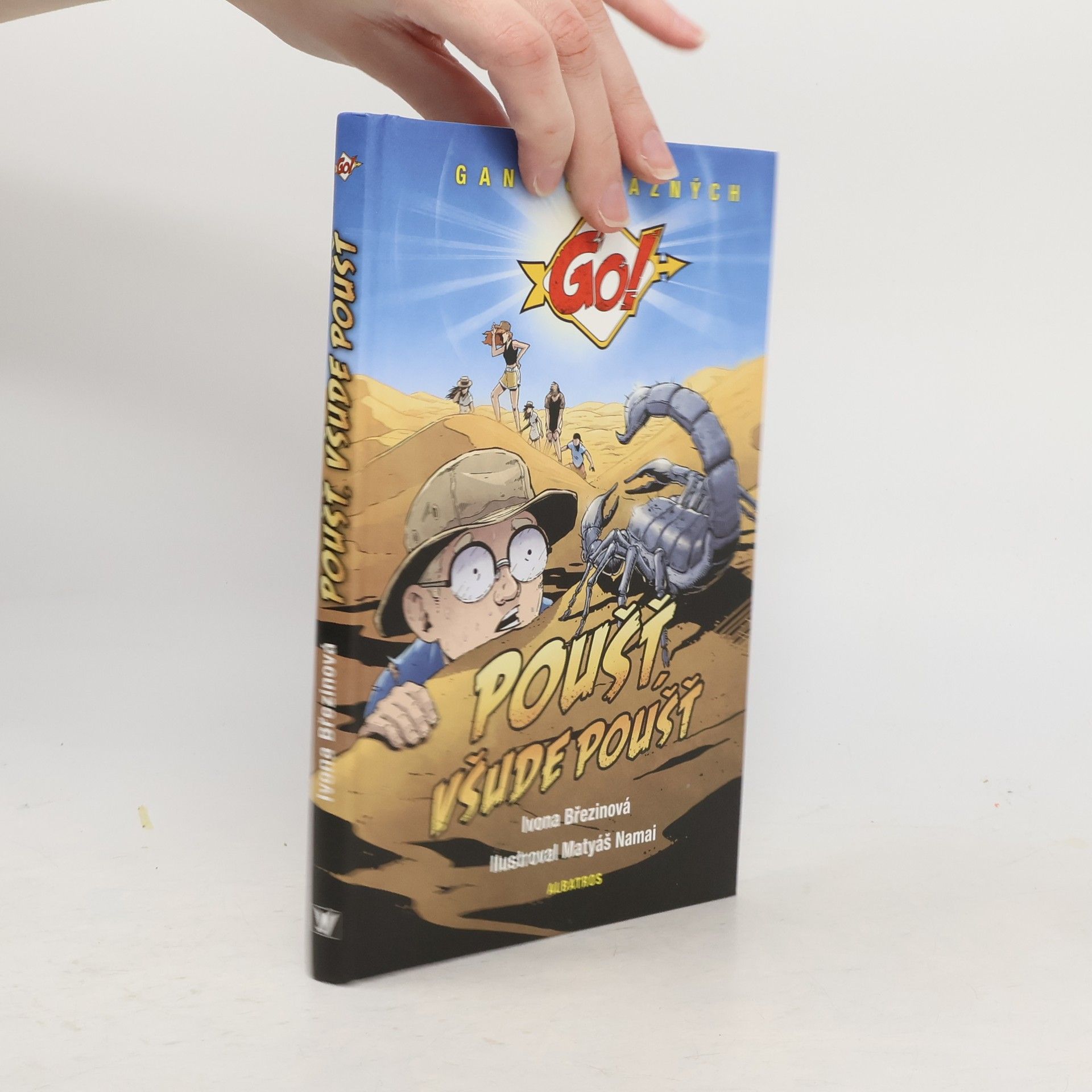 Ivona Březinová Poušť, všude poušť