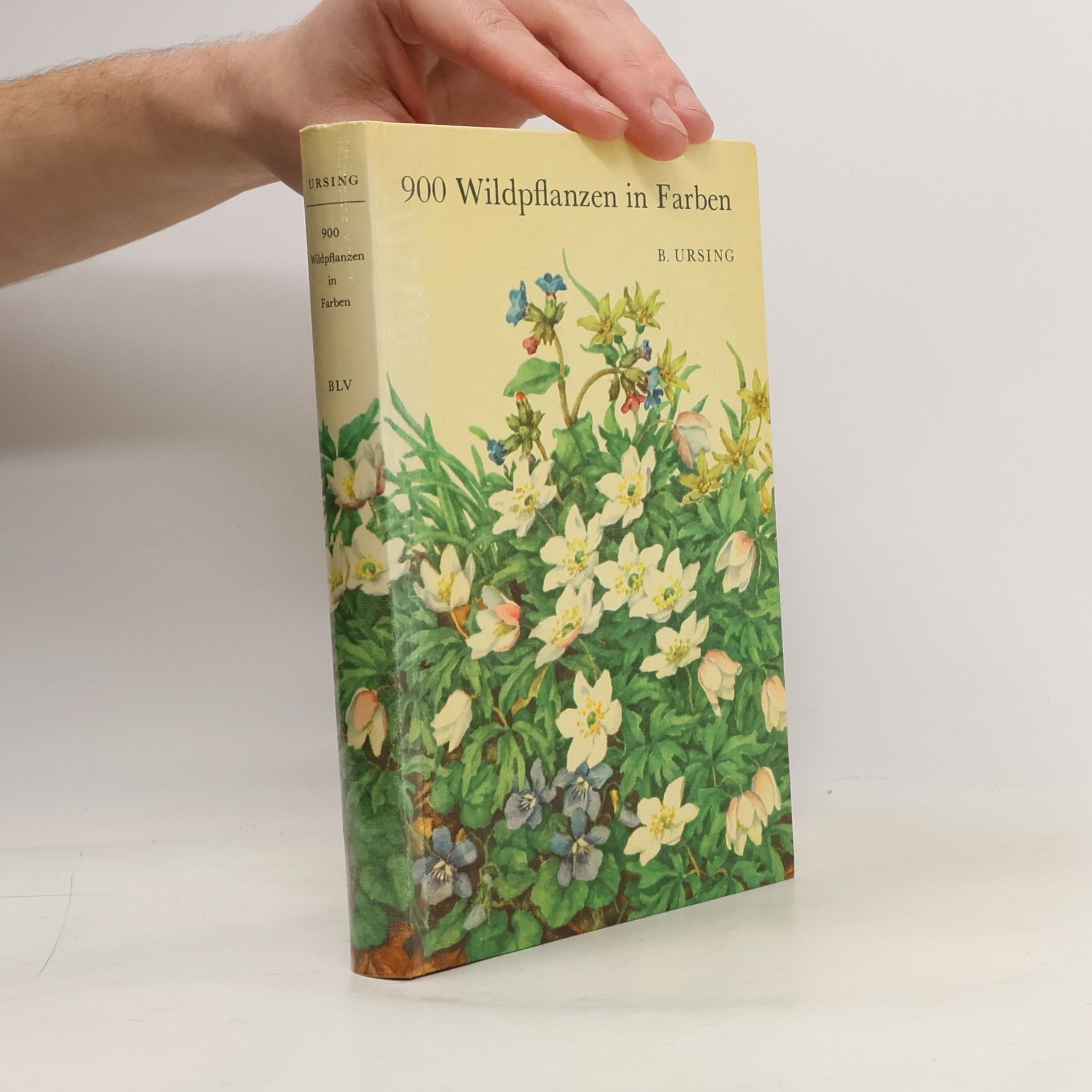 Björn Ursing 900 Wildpflanzen in Farben