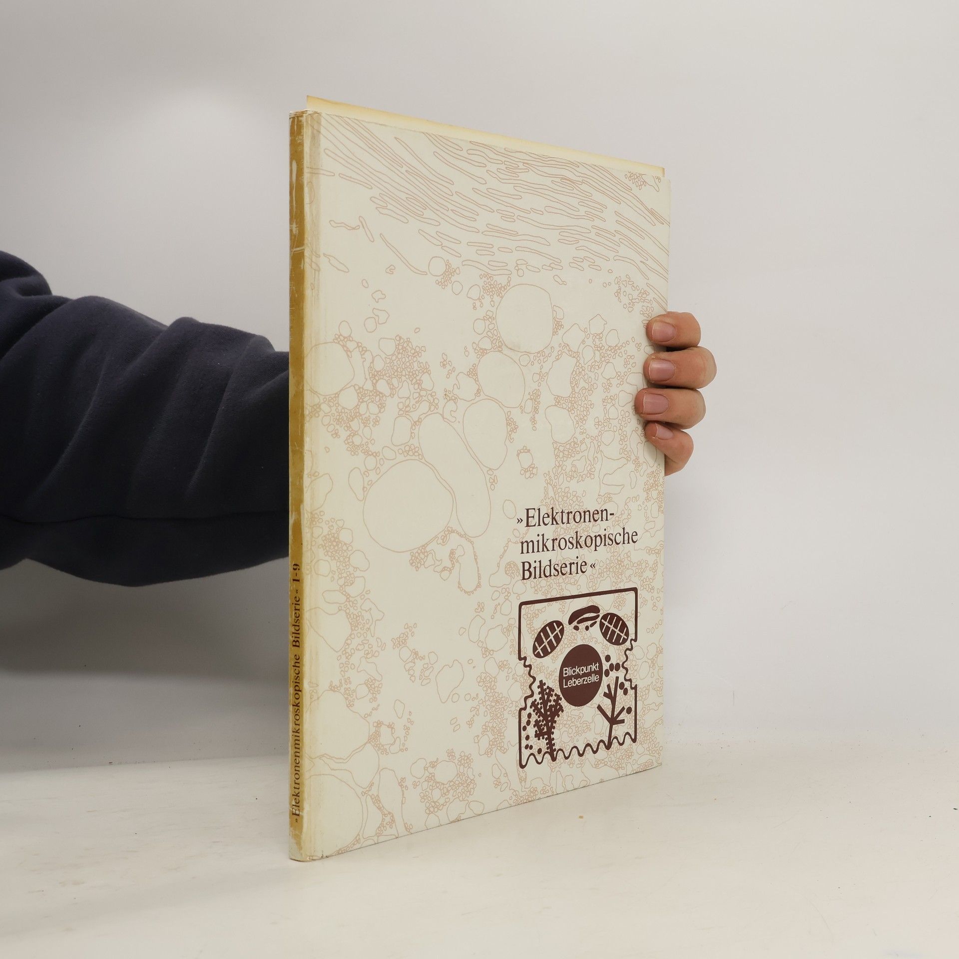 Elektronenmikroskopische Methodik