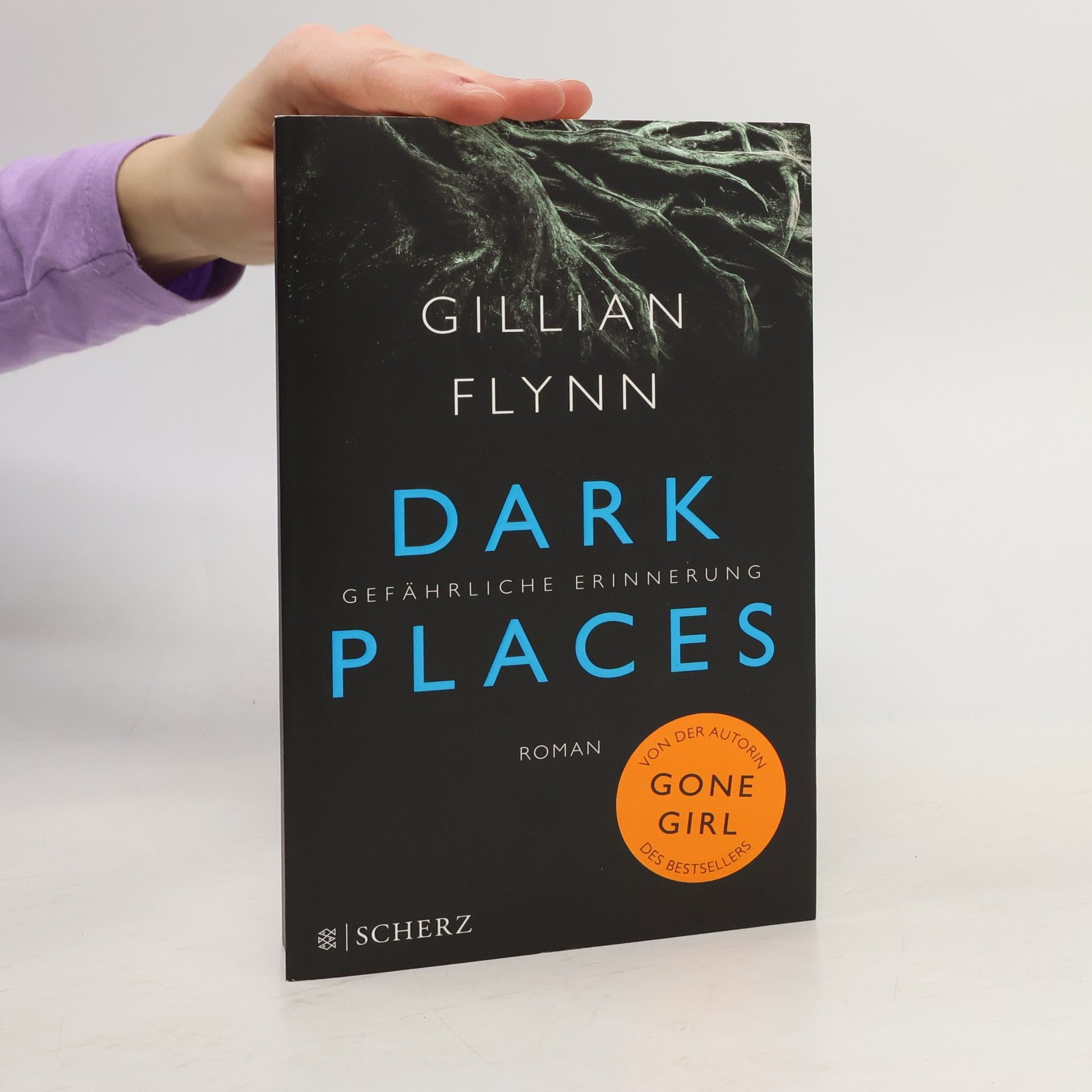 Gillian Flynn Dark places
