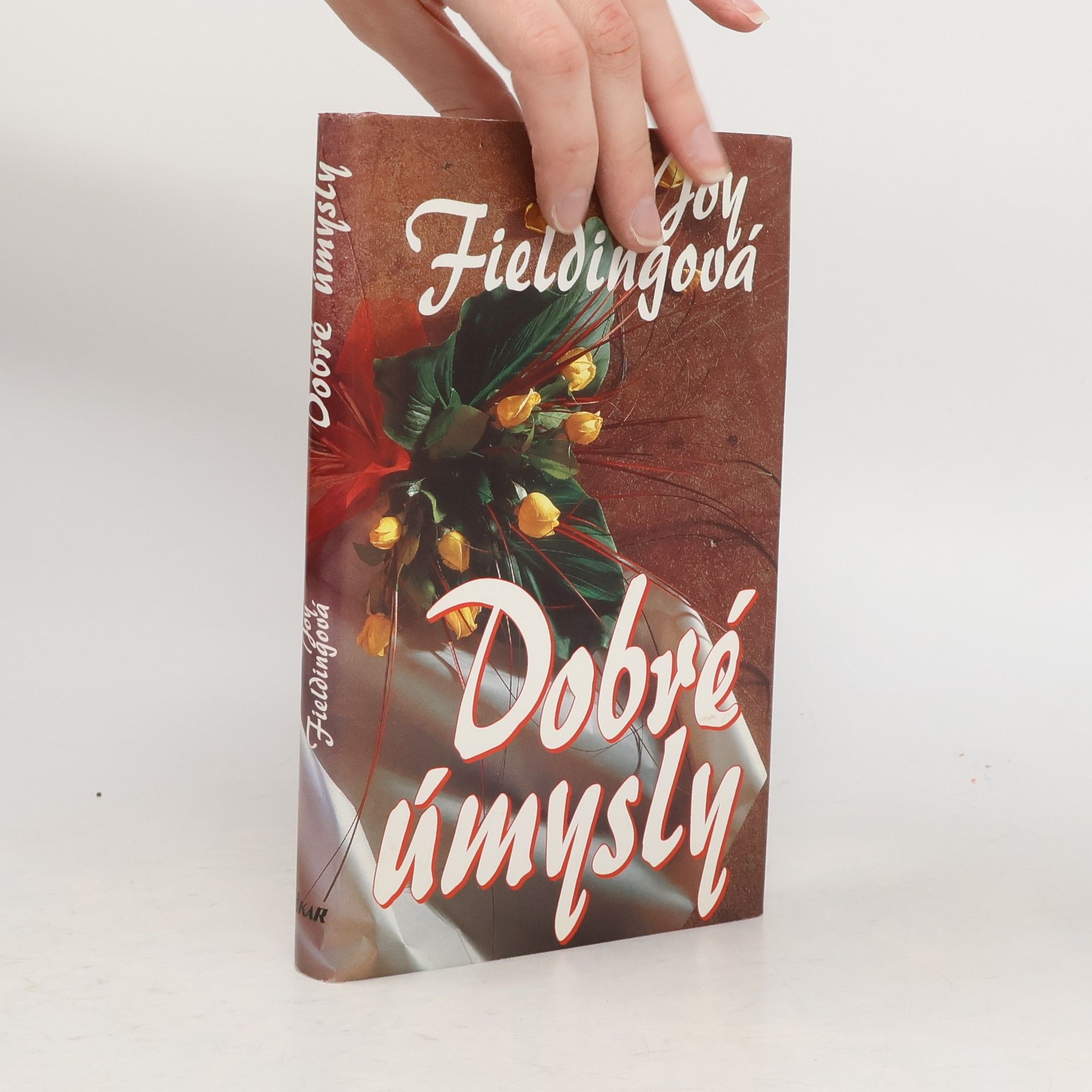 Joy Fielding Dobré úmysly