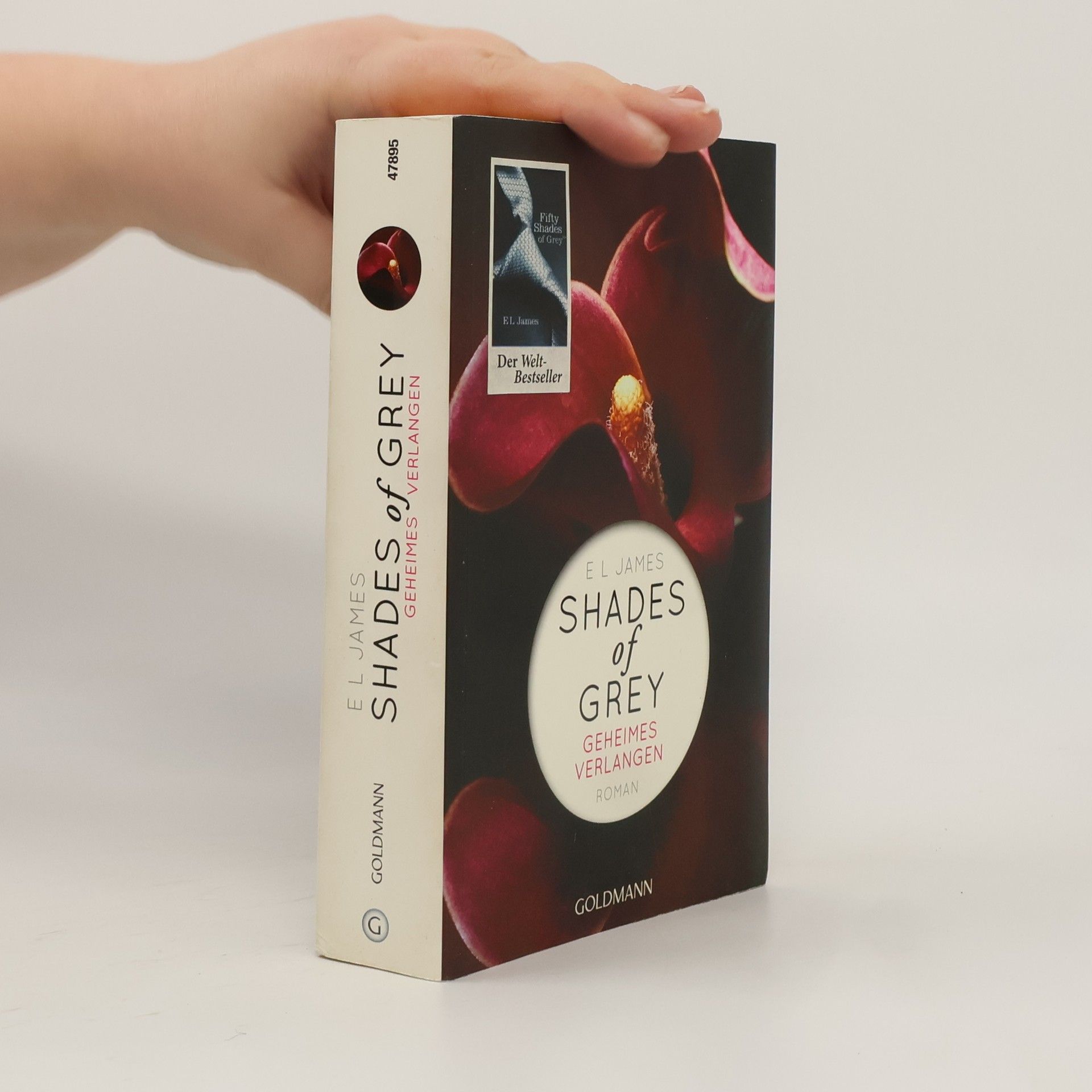 Shades of Grey. Geheimes Verlangen