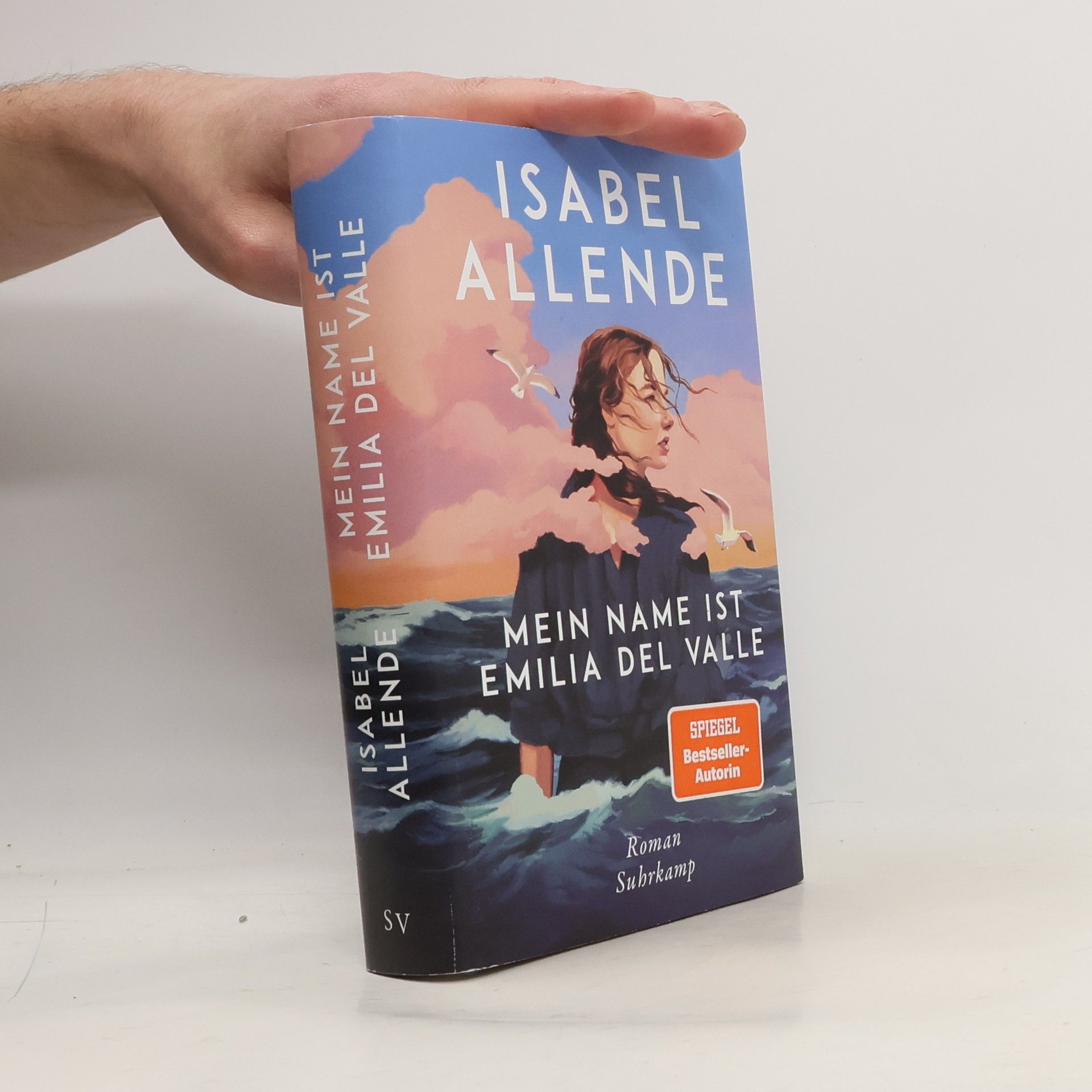 Isabel Allende Mein Name ist Emilia del Valle