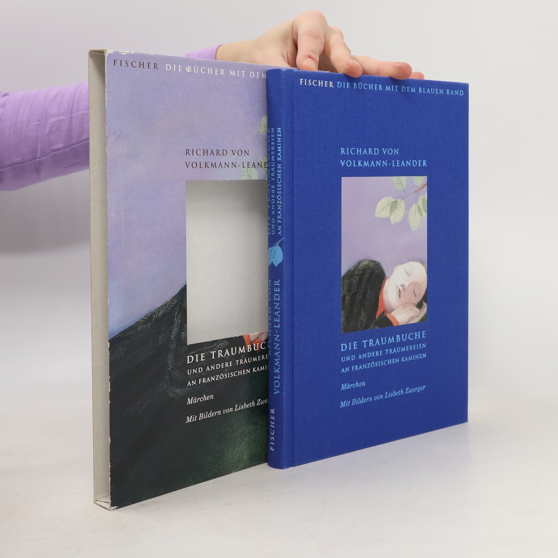 Die Traumbuche und andere Träumereien an französischen Kaminen