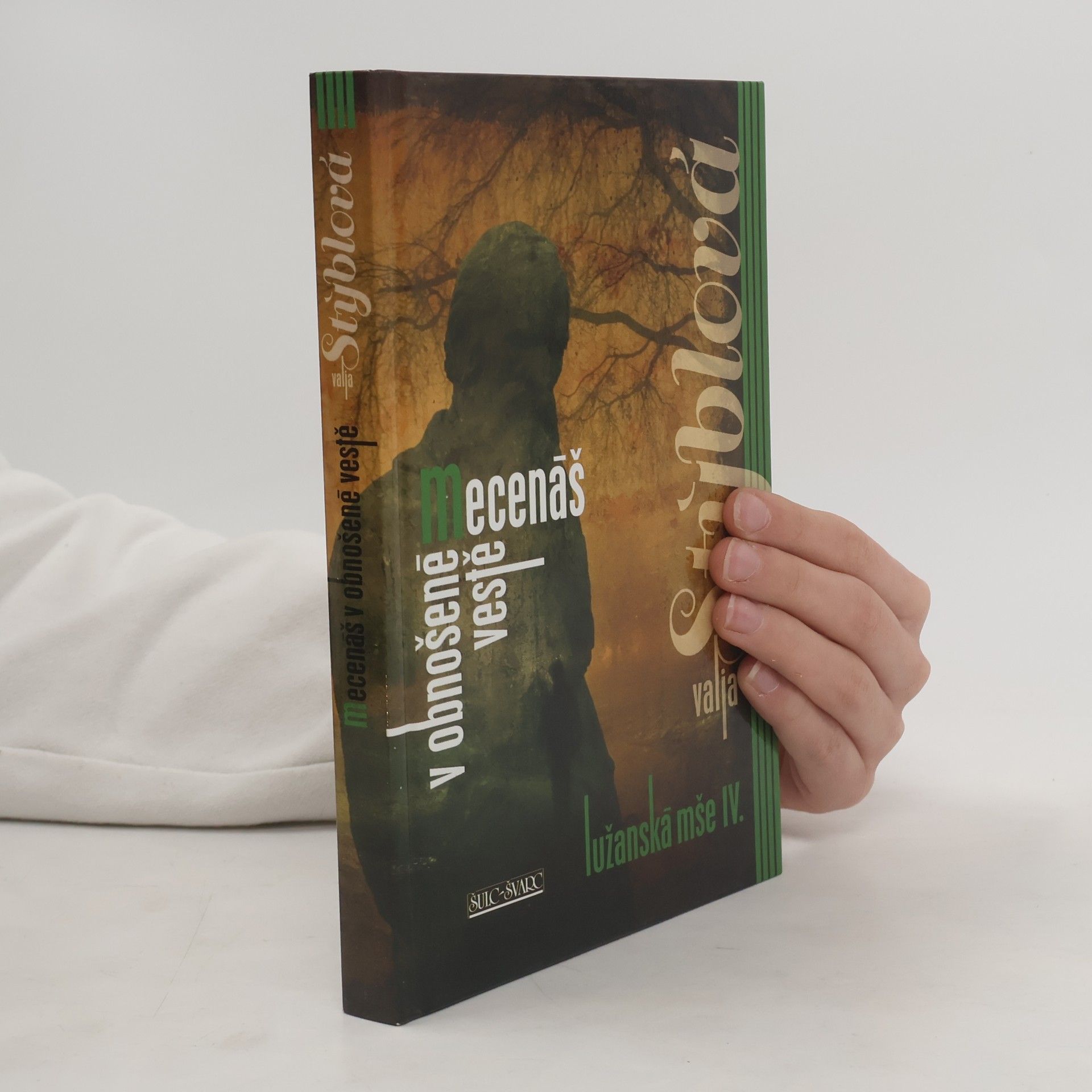 Valja Stýblová Mecenáš v obnošené vestě