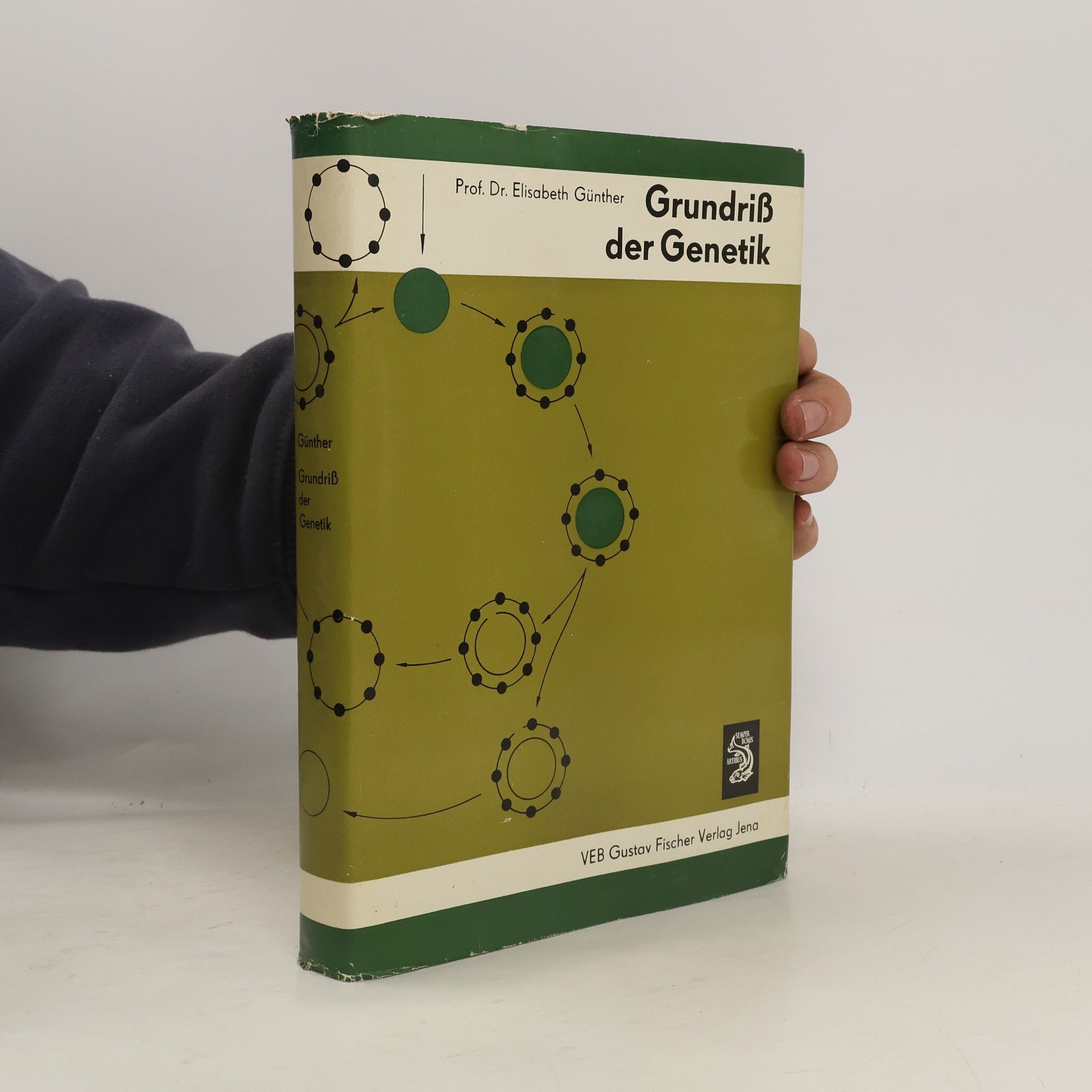 Elisabeth Günther Grundriß der Genetik