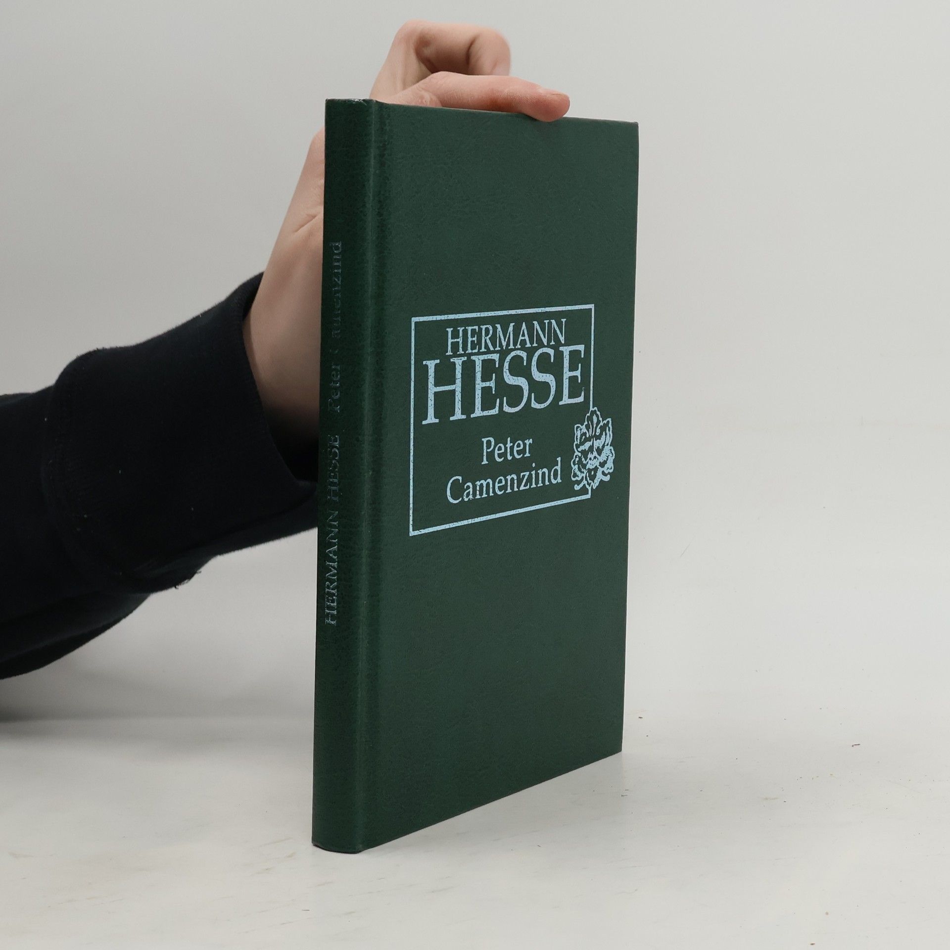 Hermann Hesse Petr Camenzind