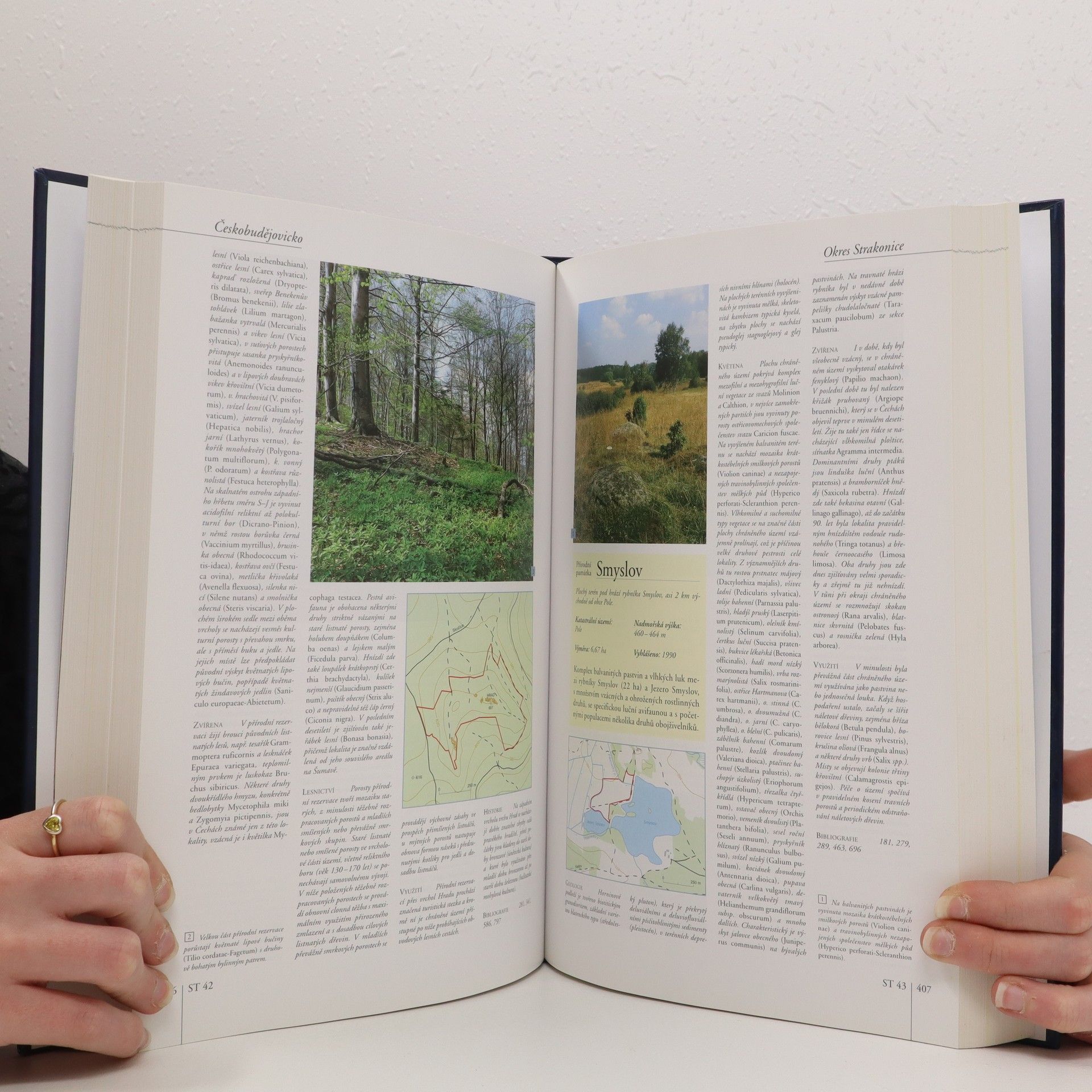 Autorenkollektiv Chráněná území ČR VIII. : Českobudějovicko