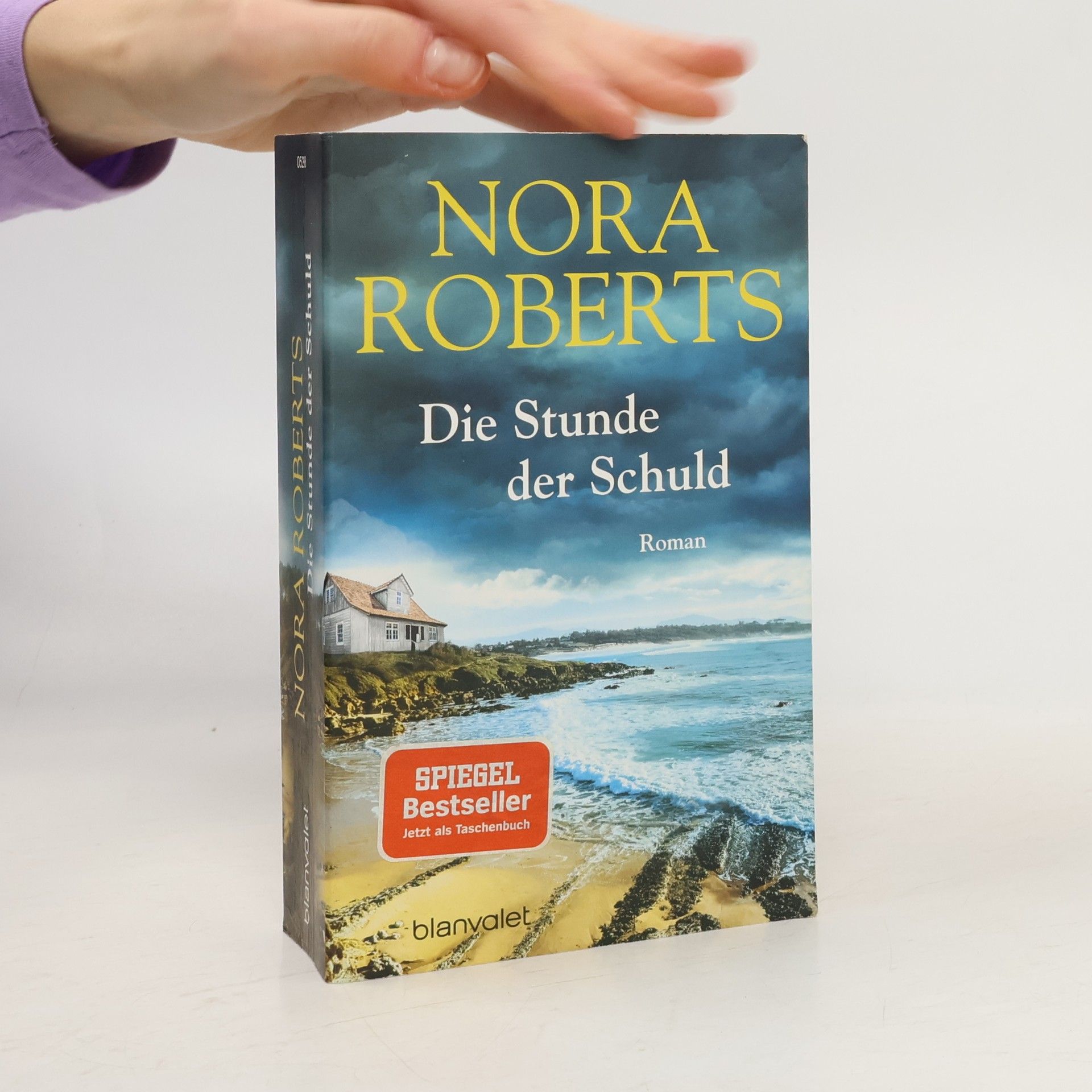 Nora Roberts Die Stunde der Schuld