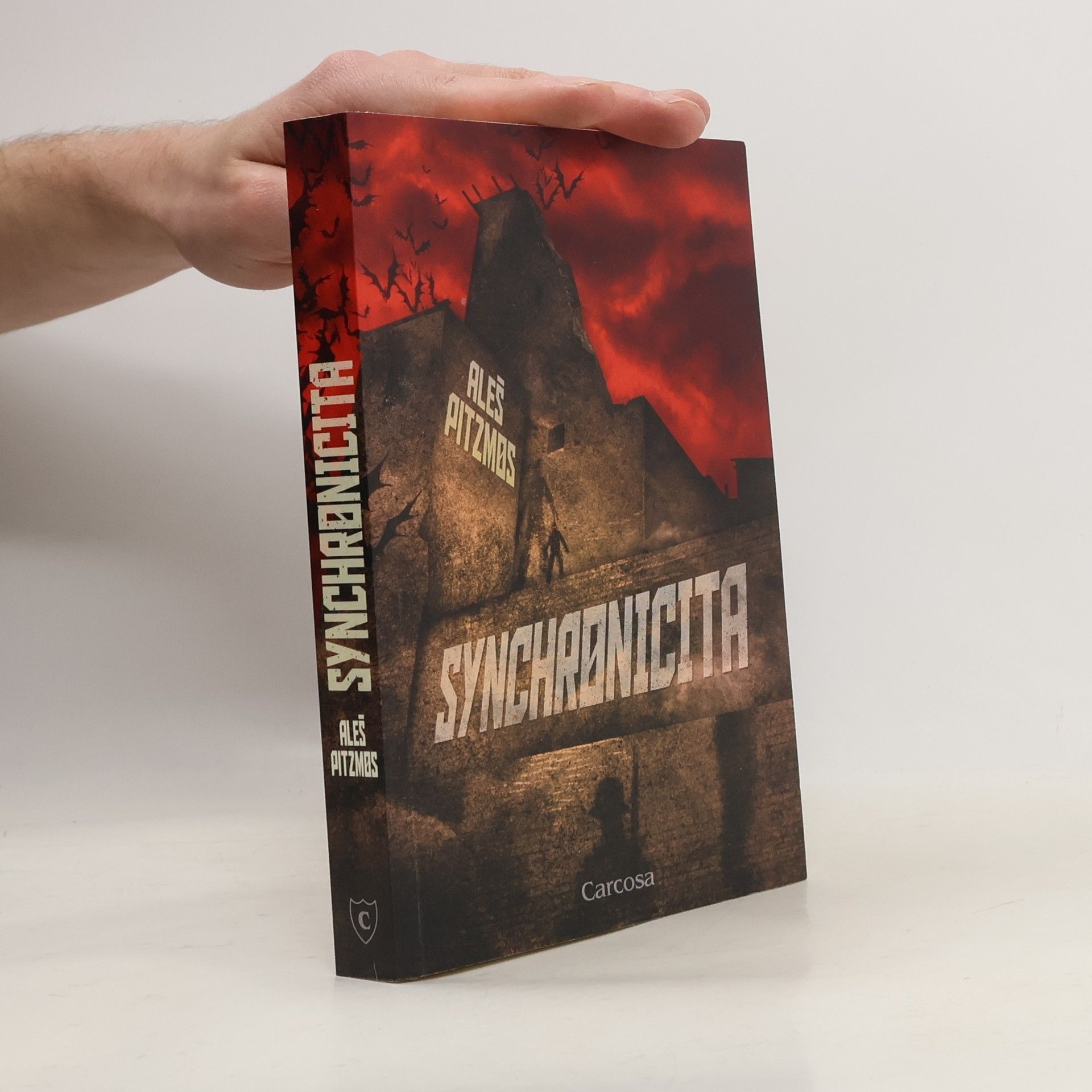 Aleš Pitzmos Synchronicita